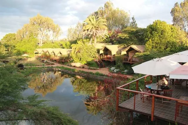 Wildebeest Eco Camp, Nairobi