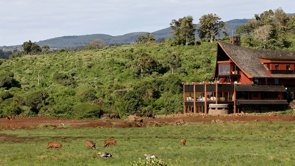 The Ark, Aberdare National Park
