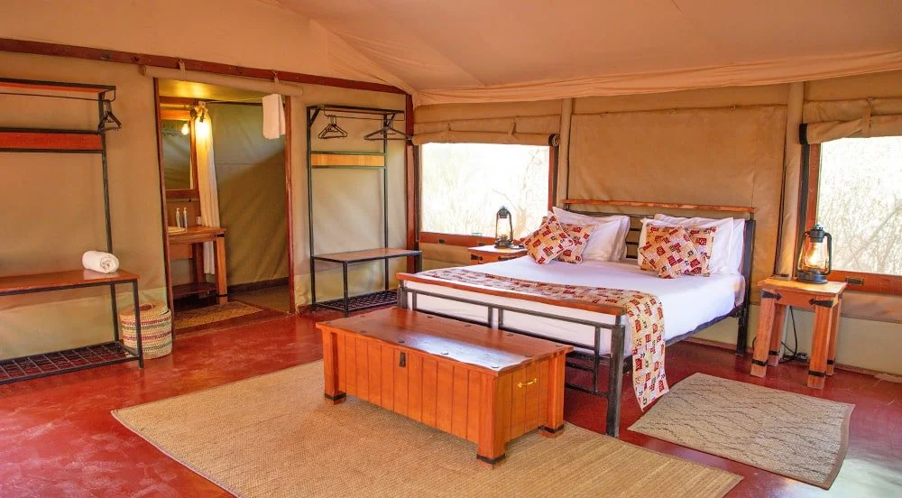 Tulia, Amboseli