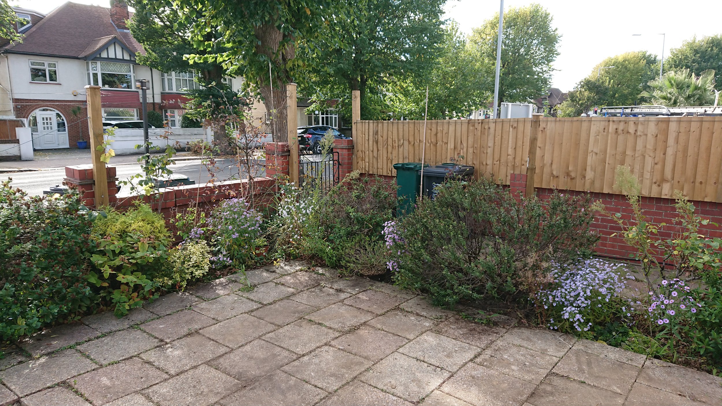 114.JPG