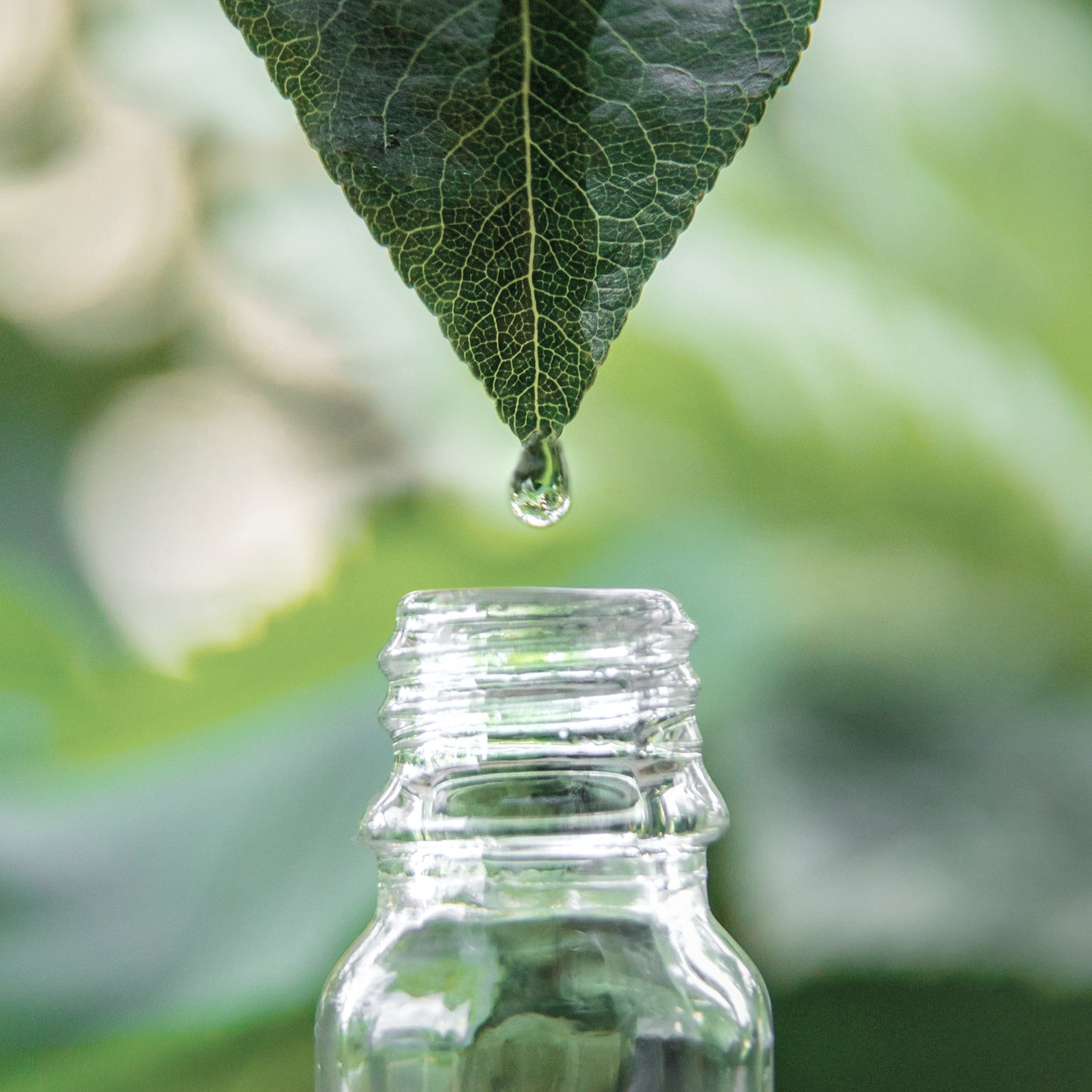 homeopathy-2024-12-19-15-51-49-utc.jpg