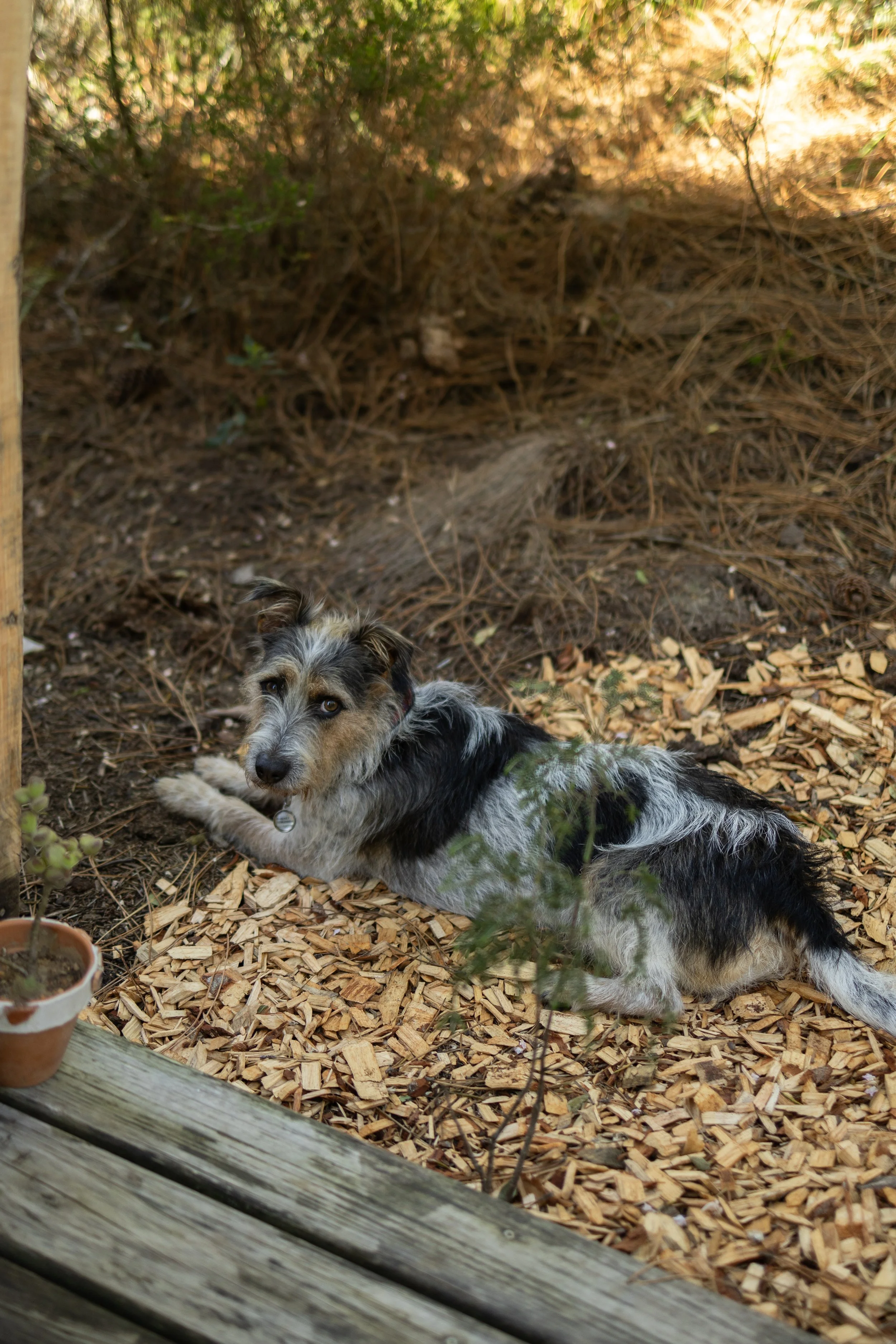 Rise & Shine Cabin (6 of 29).jpg