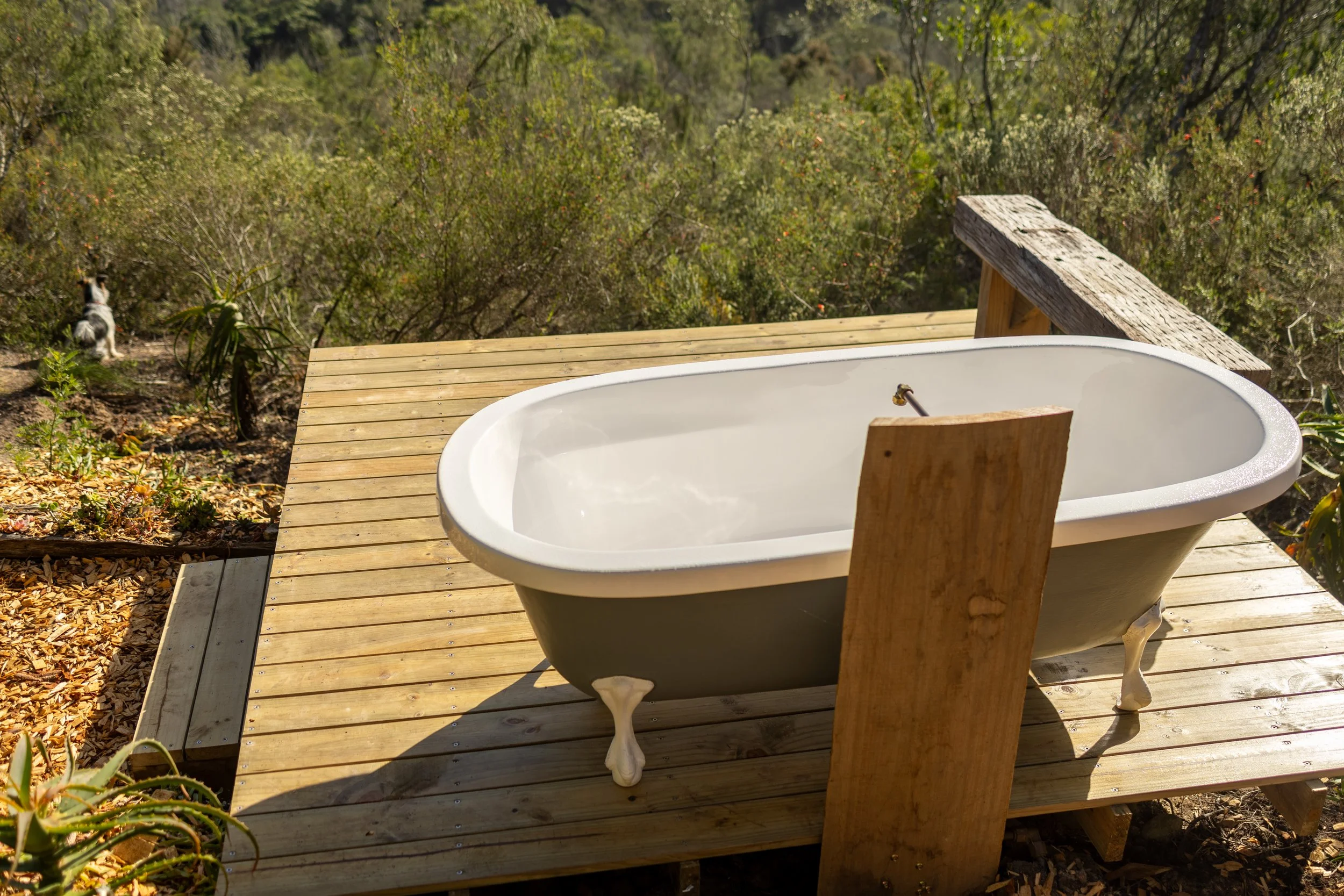 Rise & Shine Cabin (10 of 29).jpg