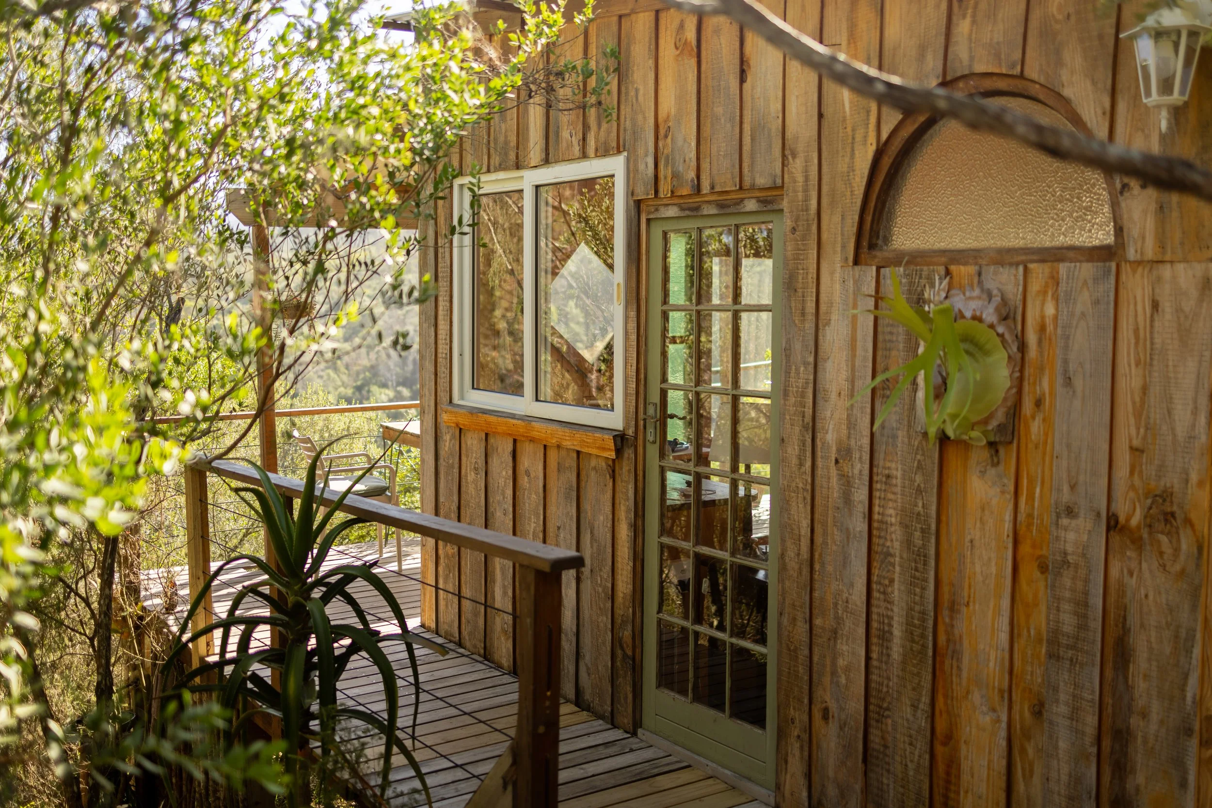 Rise & Shine Cabin (7 of 29).jpg