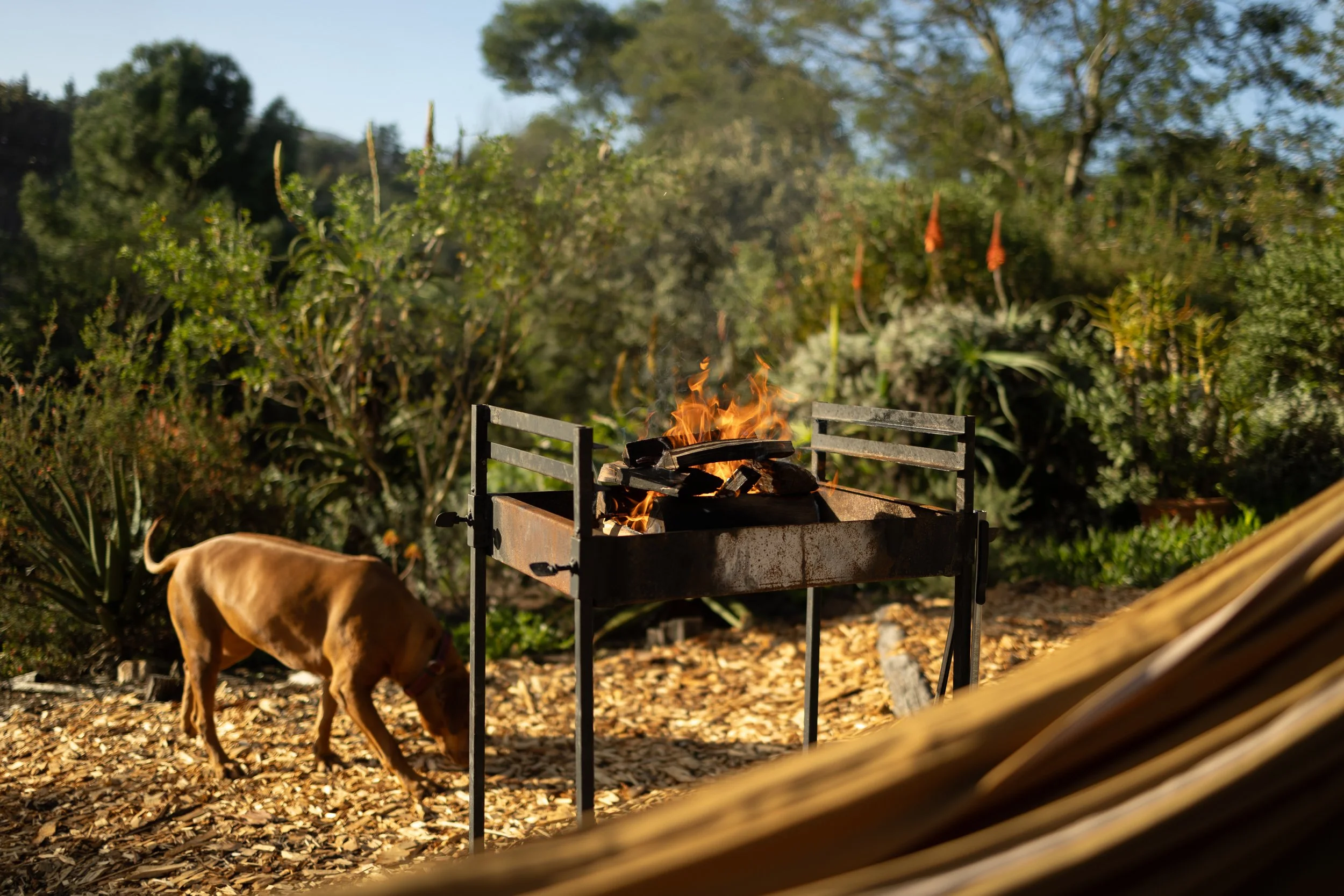 Magic Garden Cabin (28 of 34).jpg