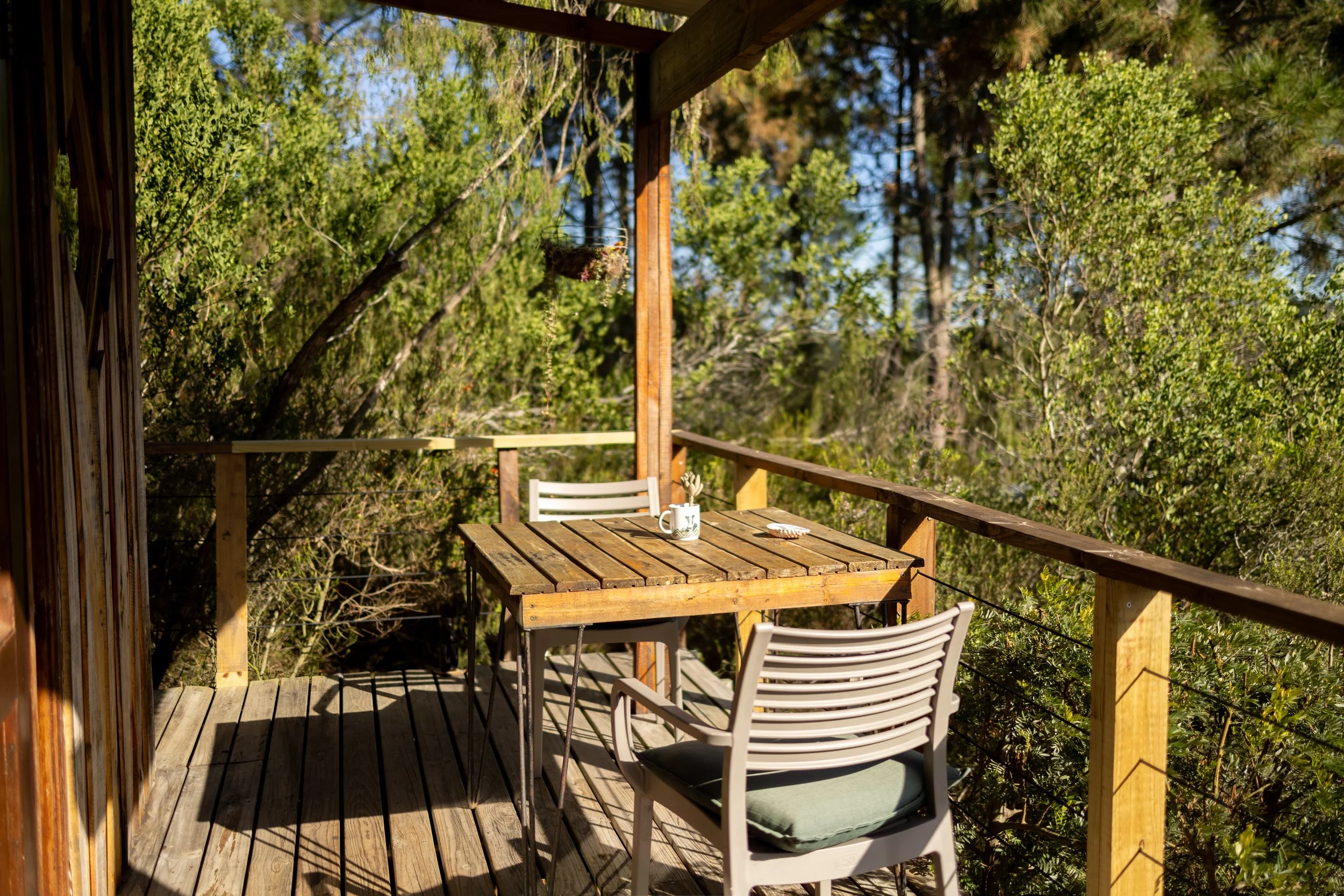 Rise & Shine Cabin (5 of 29).jpg