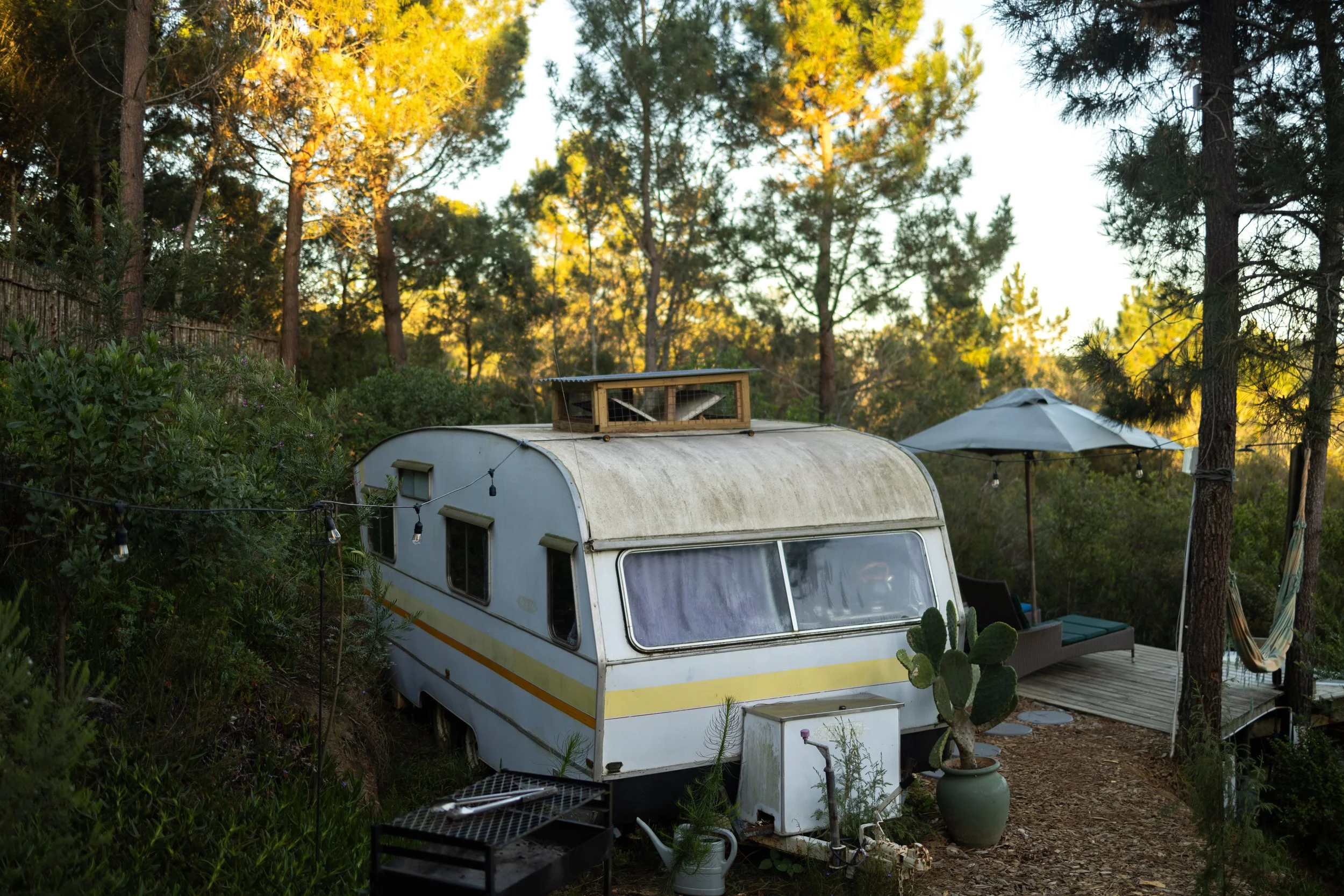 Wilderness Vintage Caravan (10 of 32).jpg