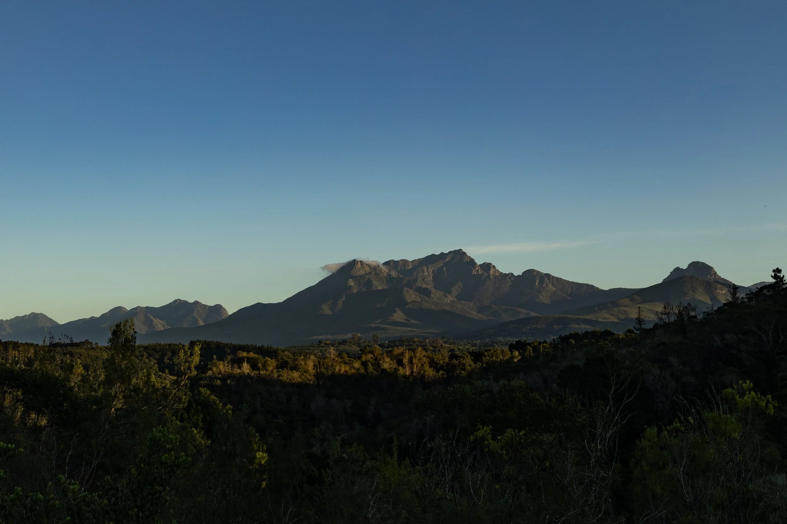 Wilderness Vintage Caravan (8 of 32).jpg