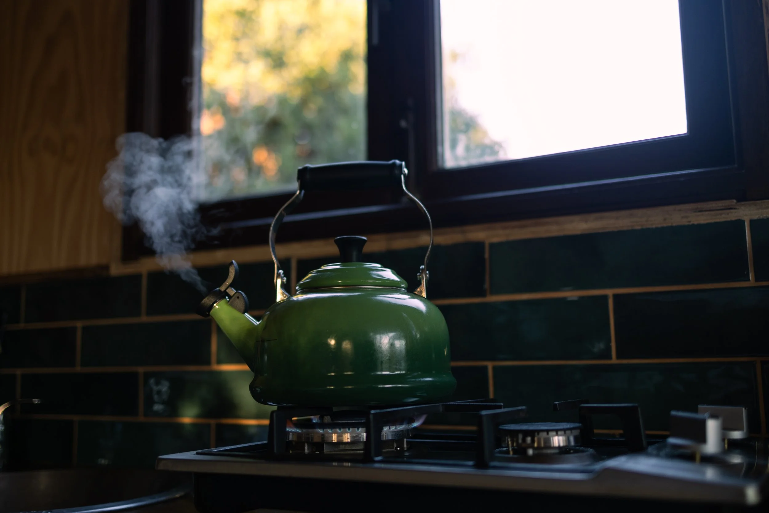 Magic Garden Cabin (19 of 34).jpg