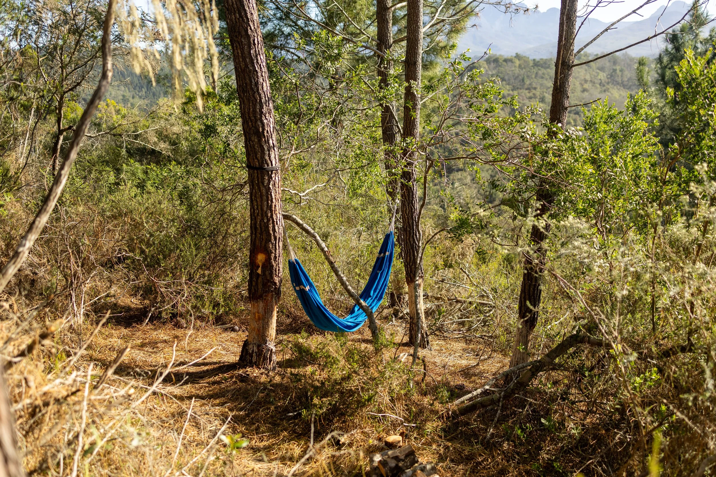 Rise & Shine Cabin (14 of 29).jpg