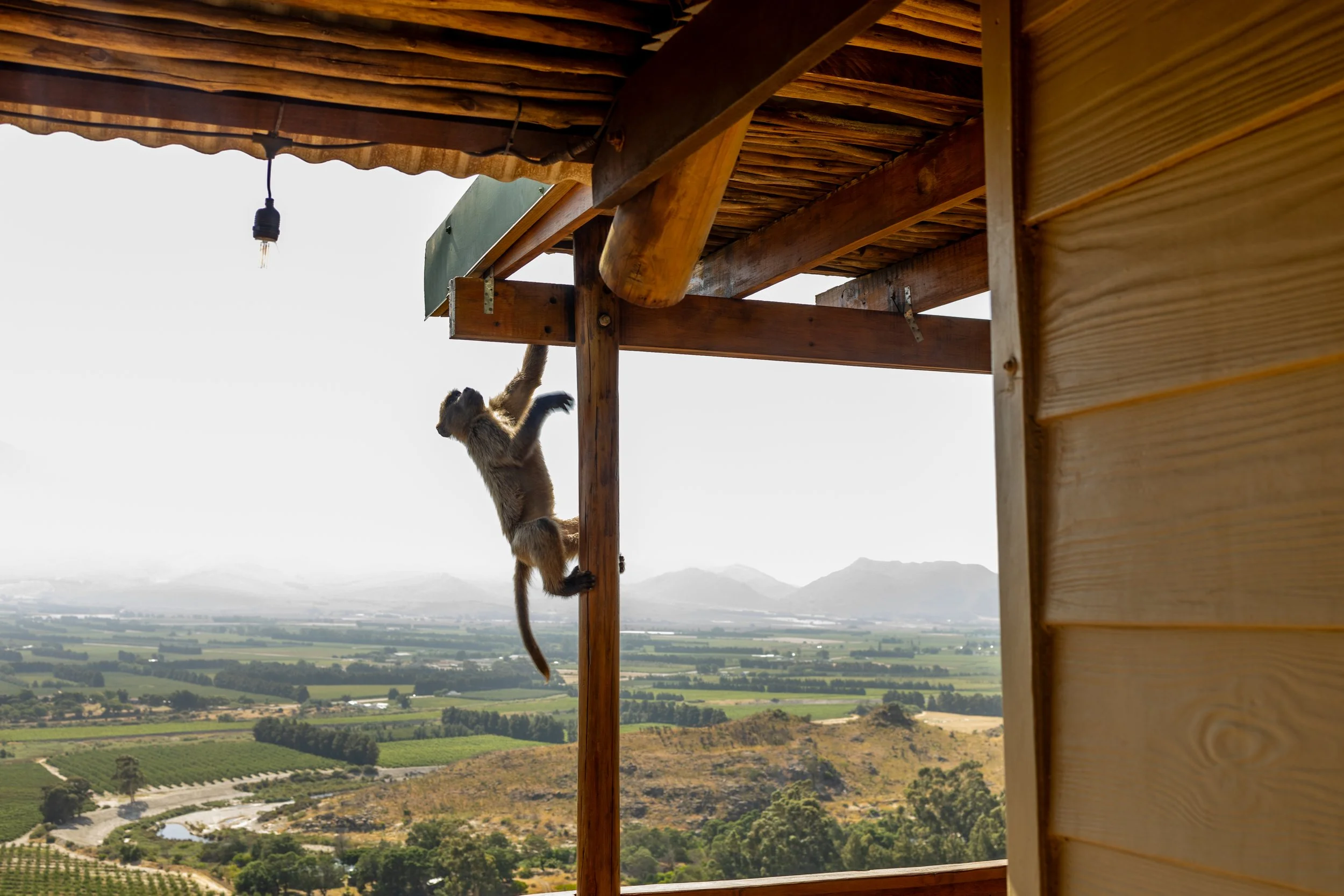 Stonewood Smaller (19 of 20).jpg