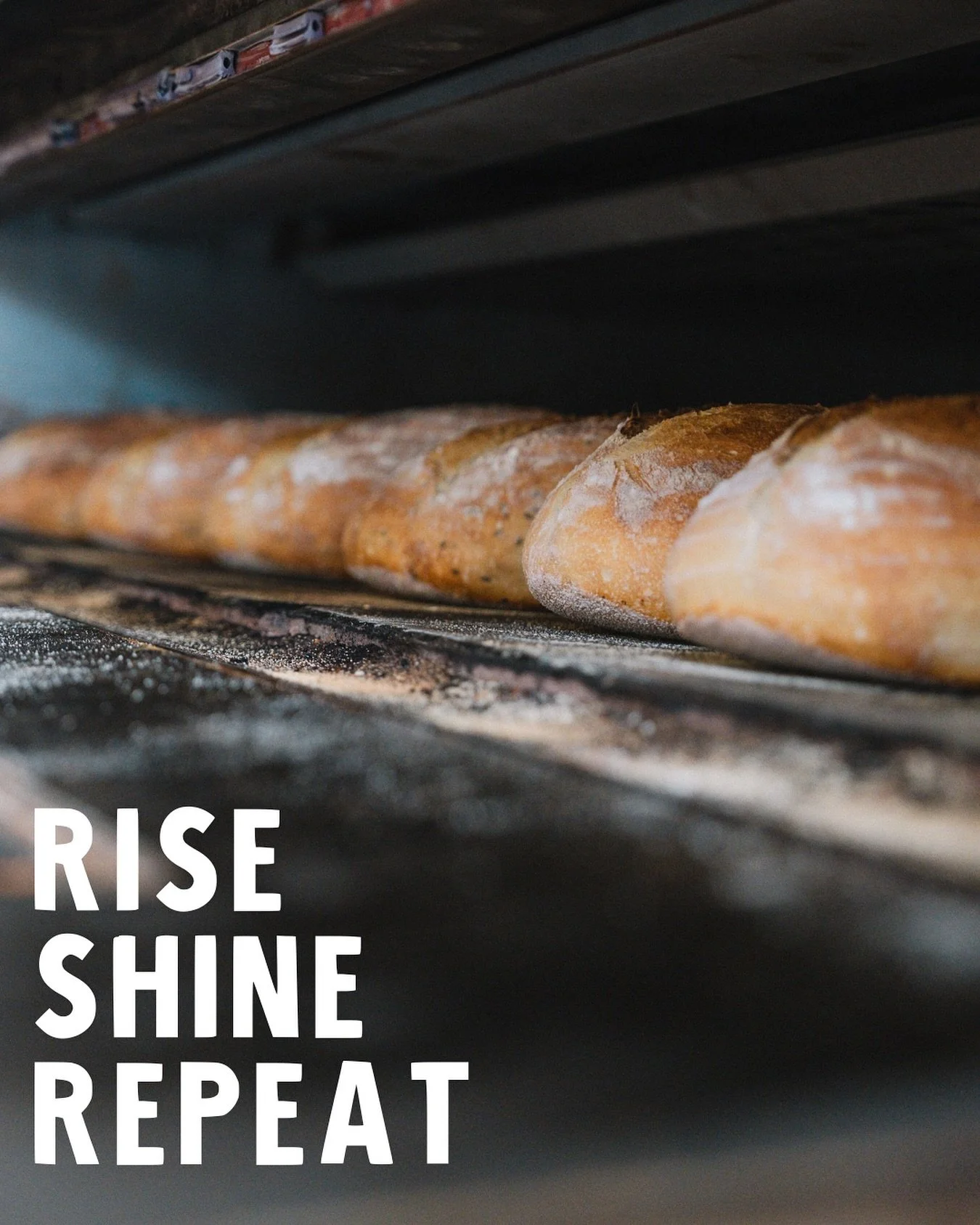 Rise into Monday the Groundbake way 🍞🙌🏼

#artisanalbakery #sourdoughbread #sourdoughbakery #sydneybakery #sydneybread #sydneycafe #freshbakedgoods #sydneybaker #sydneybrunchspots #pastrysydney #sydneymorningcoffee #sydneyfoodies #supportlocalbaker
