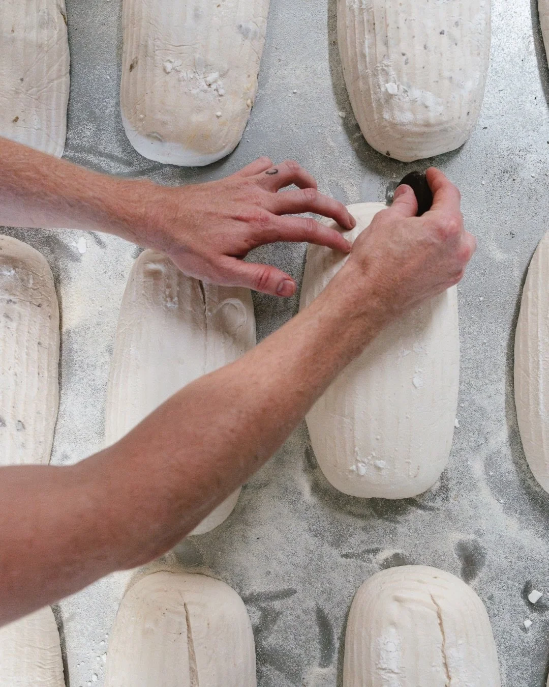 The glow up we love to see 🍞 

#artisanalbakery #sourdoughbread #sourdoughbakery #sydneybakery #sydneybread