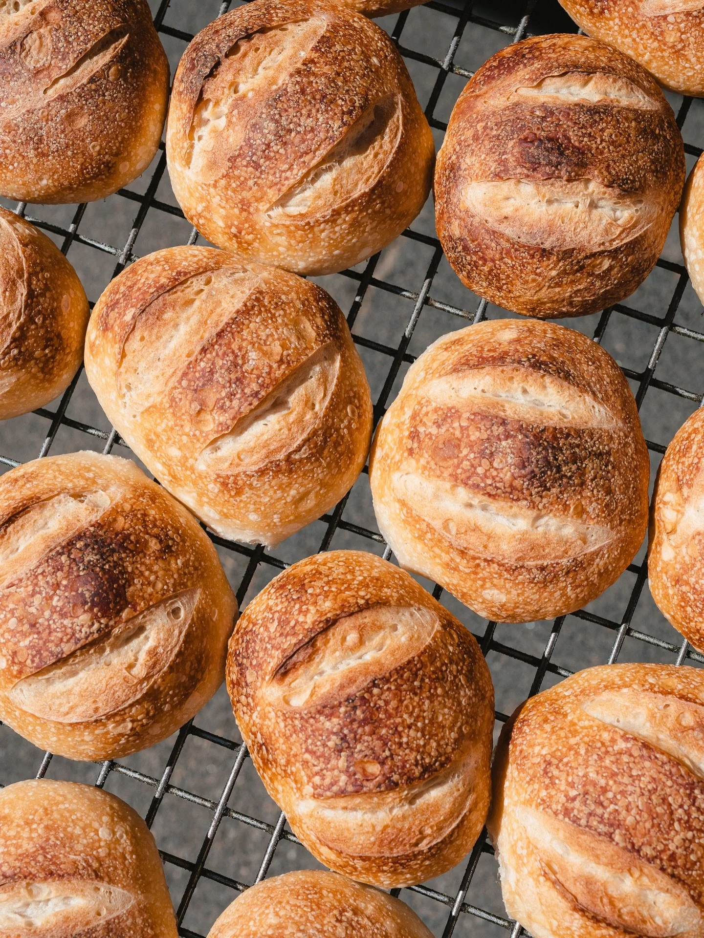 Sourdough, but make it solo. 
No slicing, no sharing&hellip;just yours.
All the flavour of a full loaf, scaled down to one perfect roll.
Baked fresh, ready when you are 🍞

#easter #hotcrossbuns #sydneybakery #sourdough #bakery