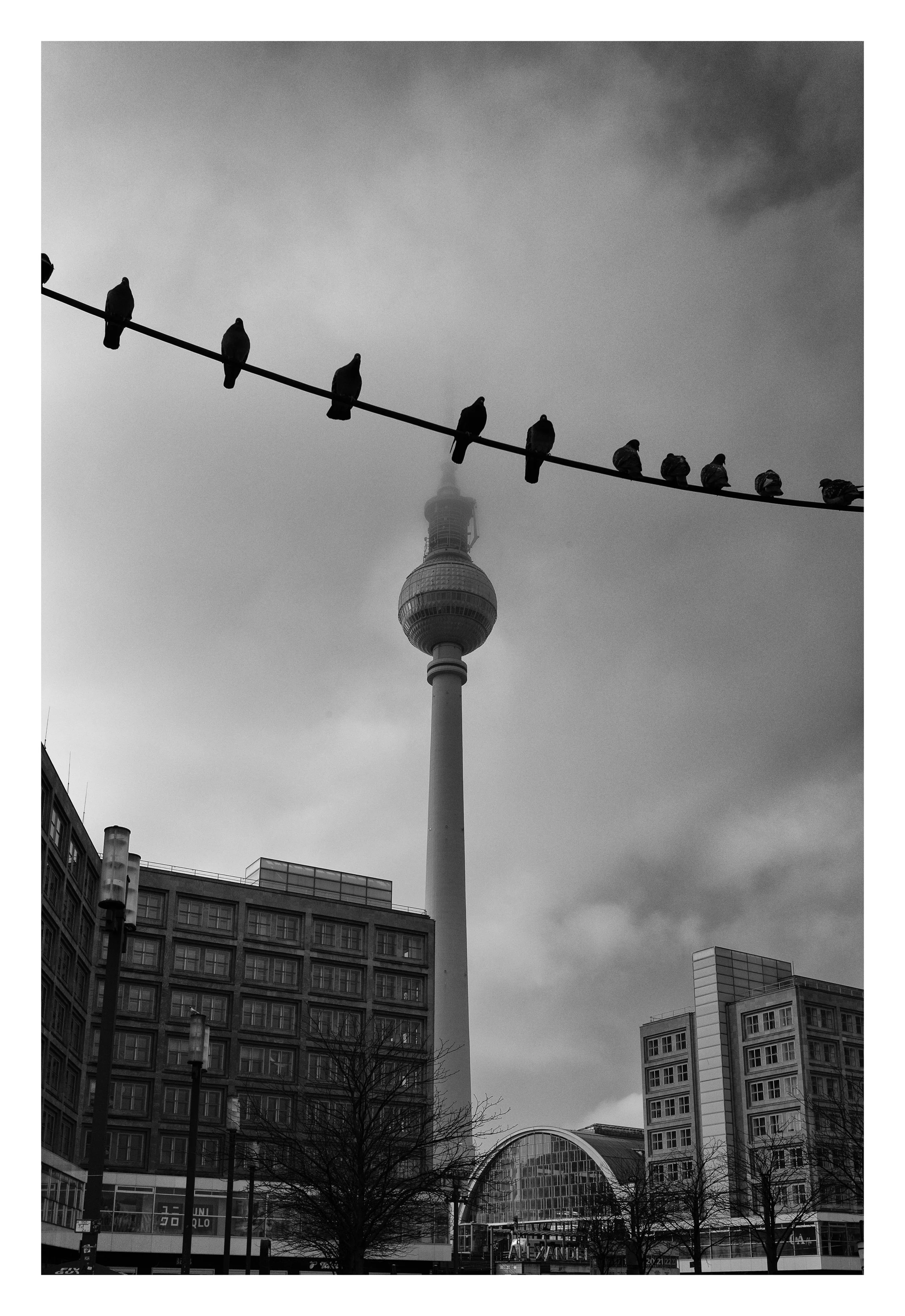 L1010010-Bearbeitet-1 4 Edited.jpg