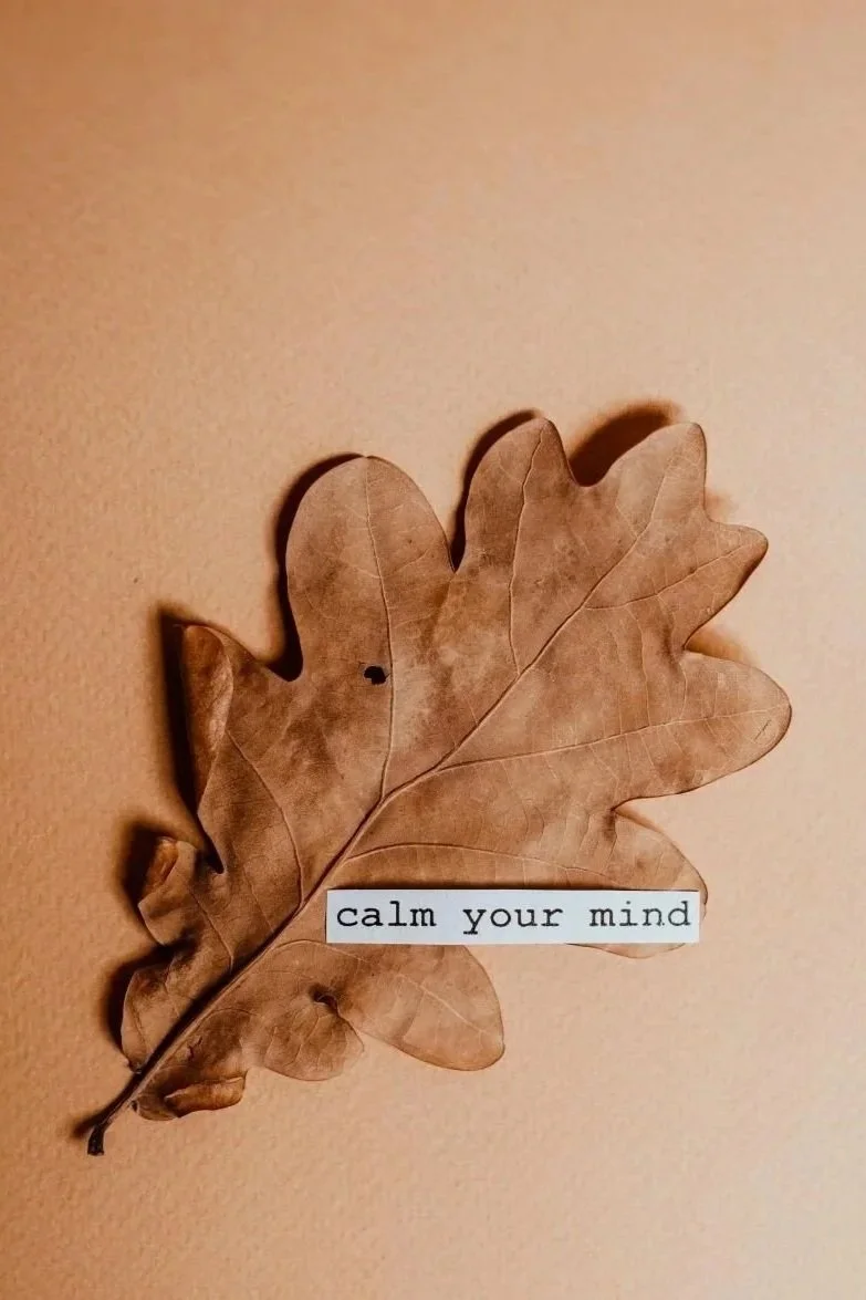 Terracotta coloured dried leaf with a paper strip displaying ‘calm your mind’ in typewriter font