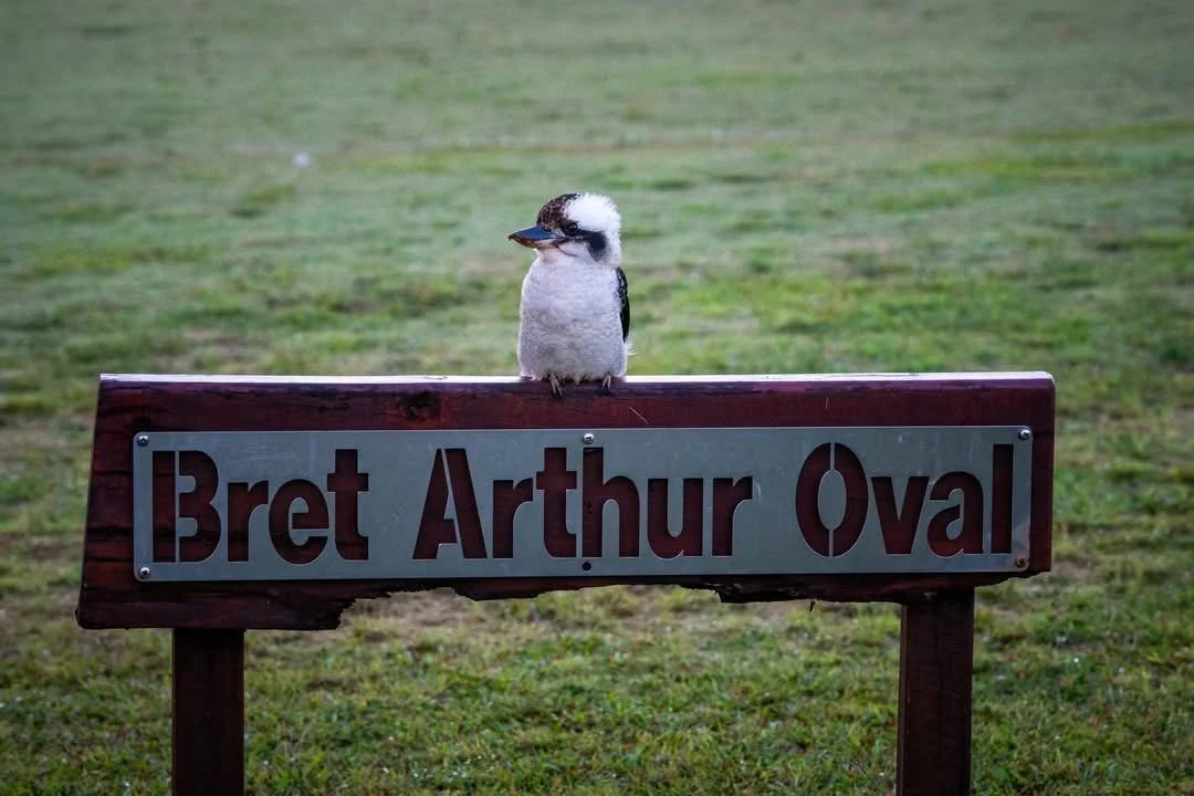 Mount Tamborine Liveability Snapshot