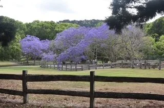 Currumbin Valley Liveability Snapshot