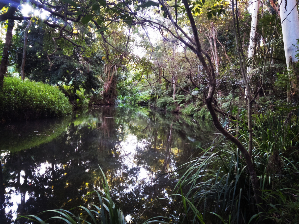 Worongary Liveability Snapshot