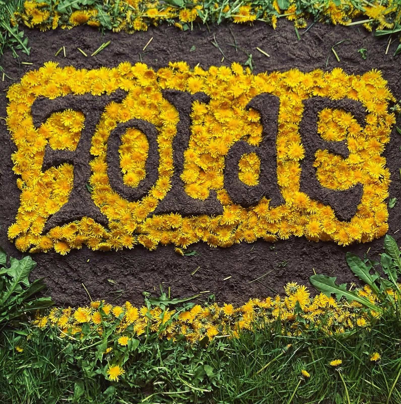 FoLdE