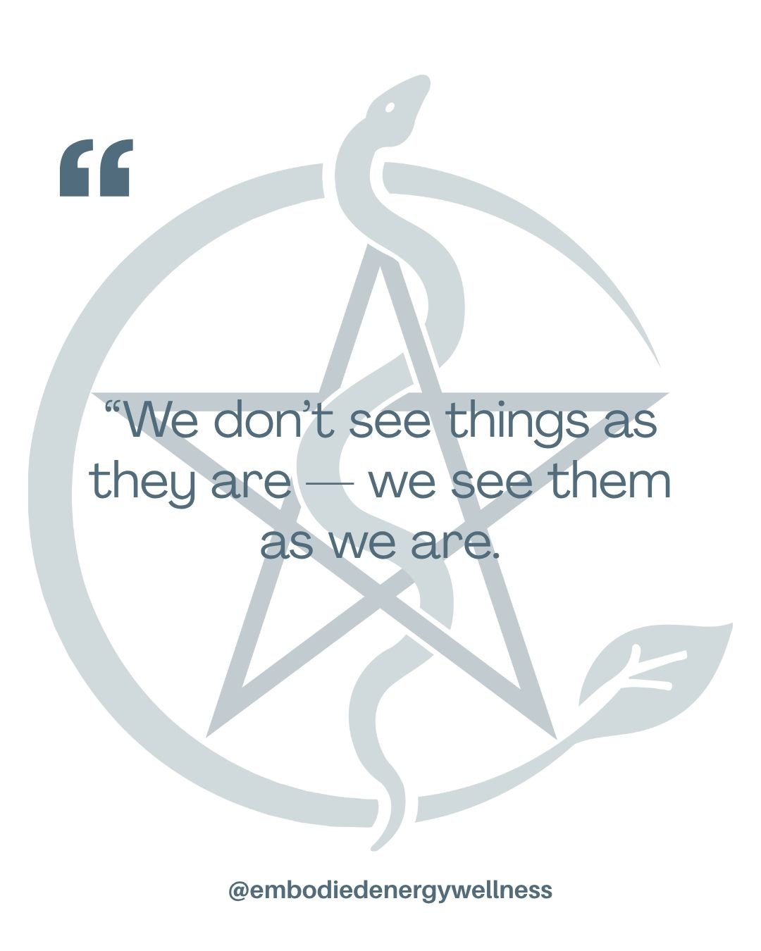 Every moment is filtered through your beliefs, your wounds, your healing, your self-worth, your love, your fear, your hope.
Your mind is the storyteller.
Your heart is the interpreter.
Your body is the truth-teller.

Let that sink in!!! 
This is why 