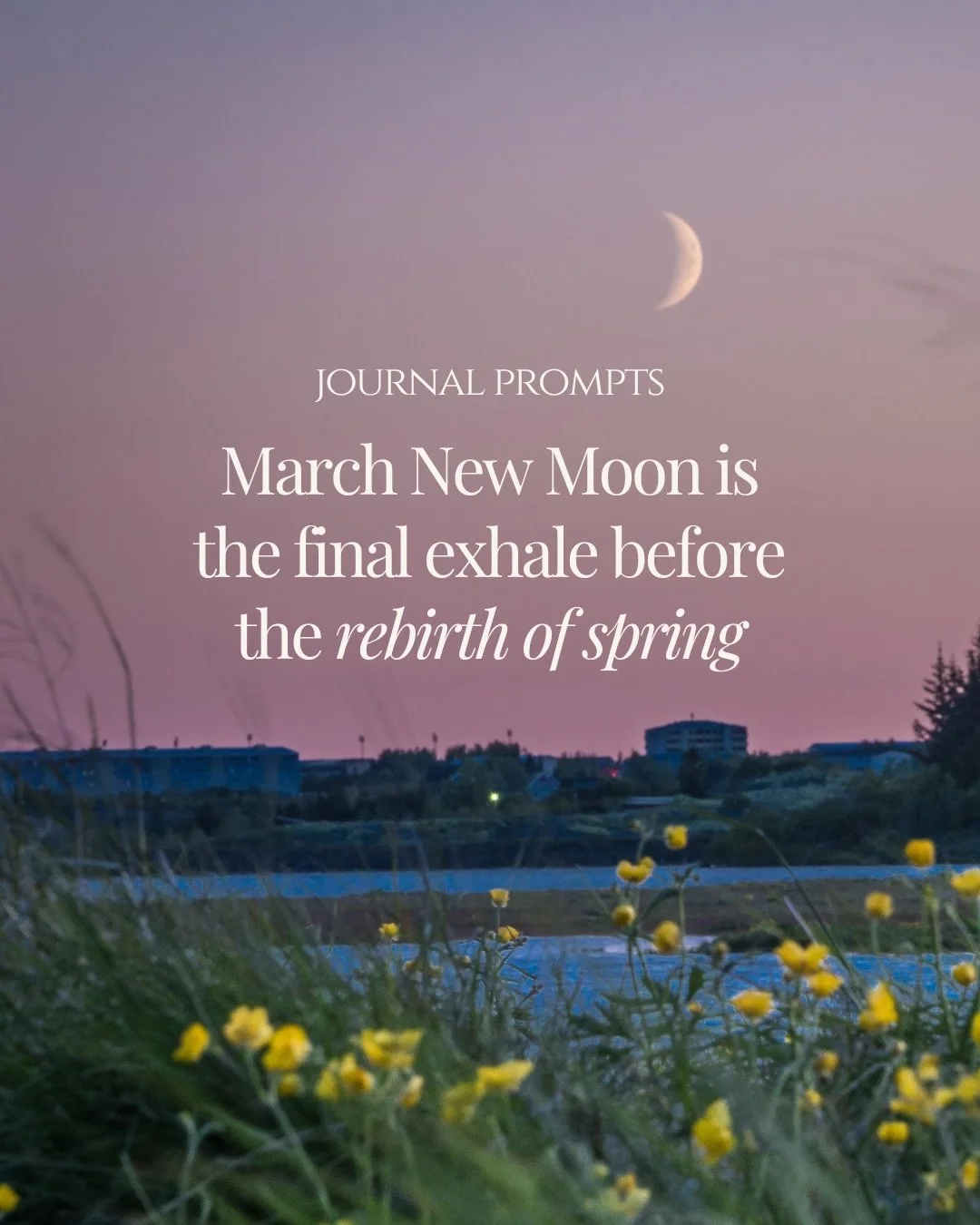 This New Moon in Pisces feels like the final exhale before a new beginning 🌙♓️ If you&rsquo;re feeling it, come explore it deeper with us inside The Healing Circle Online Community. A space for monthly New Moon &amp; Full Moon activations, guided me