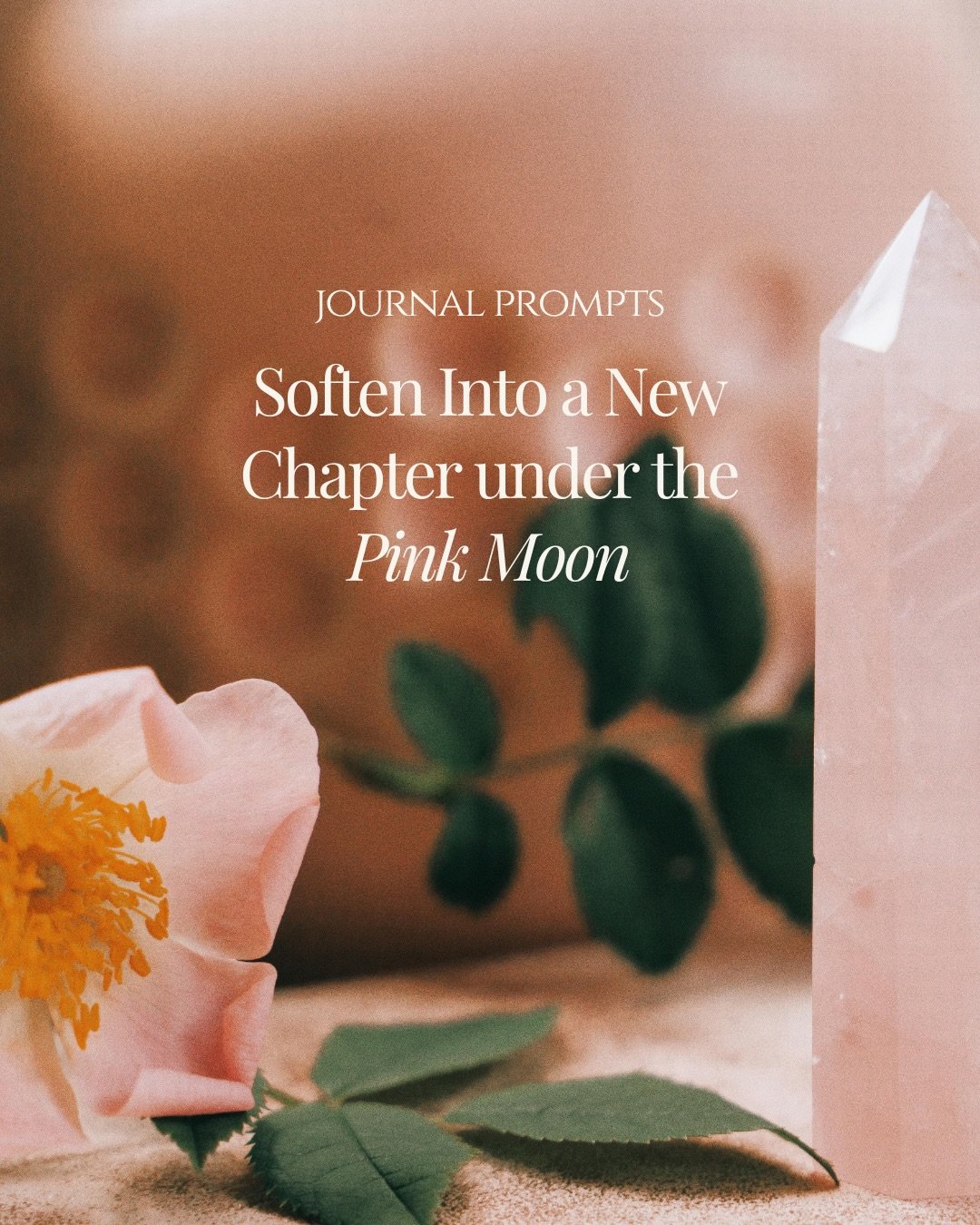 It&rsquo;s time to open your heart a little more. Under the Pink Moon, sit with your thoughts, take time to journal, and gently tune into what&rsquo;s there. This is the energy we&rsquo;ll be working with together on April 1st in the Full Moon Online