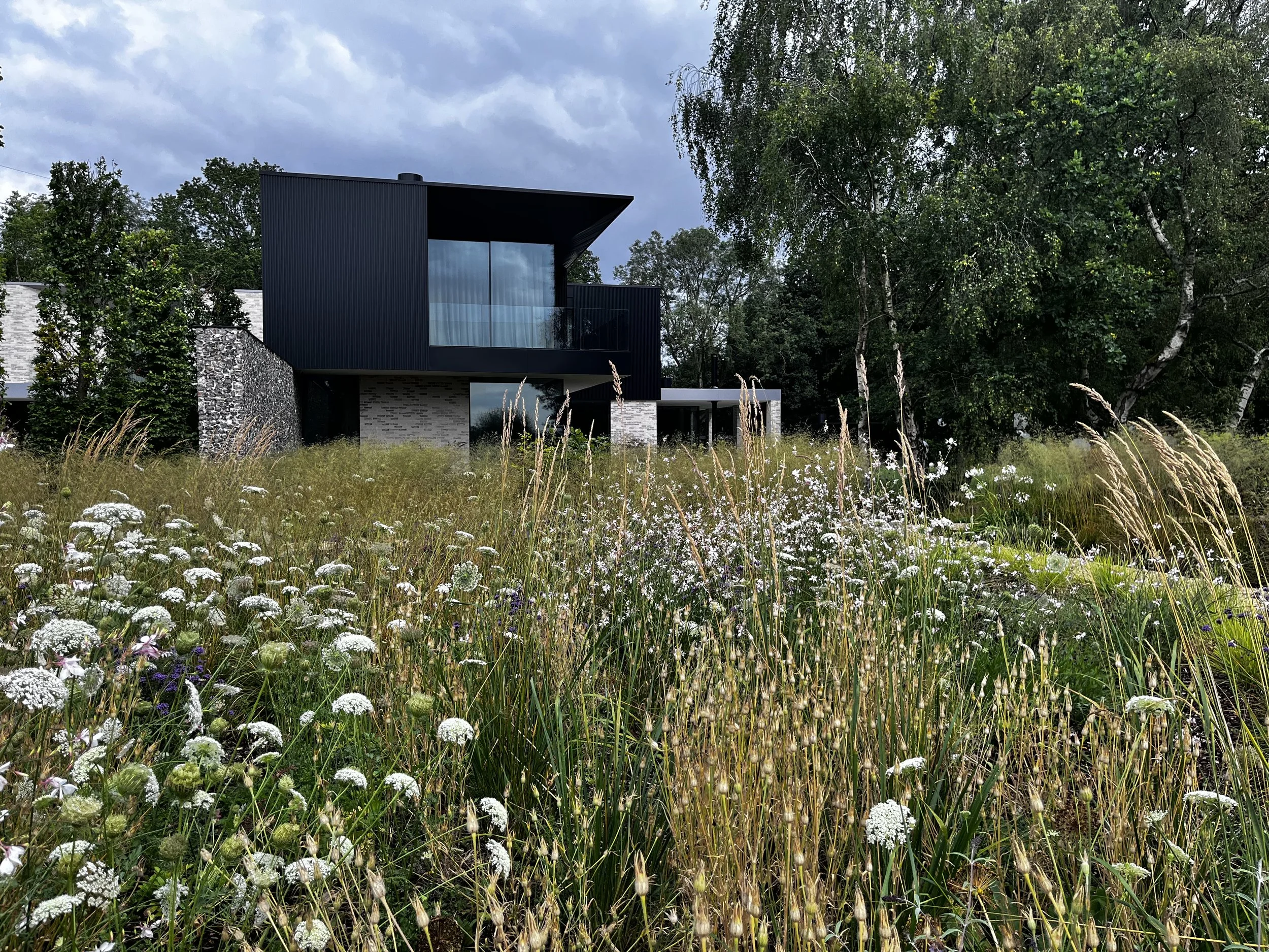 Wild Meadow Garden in Bucks