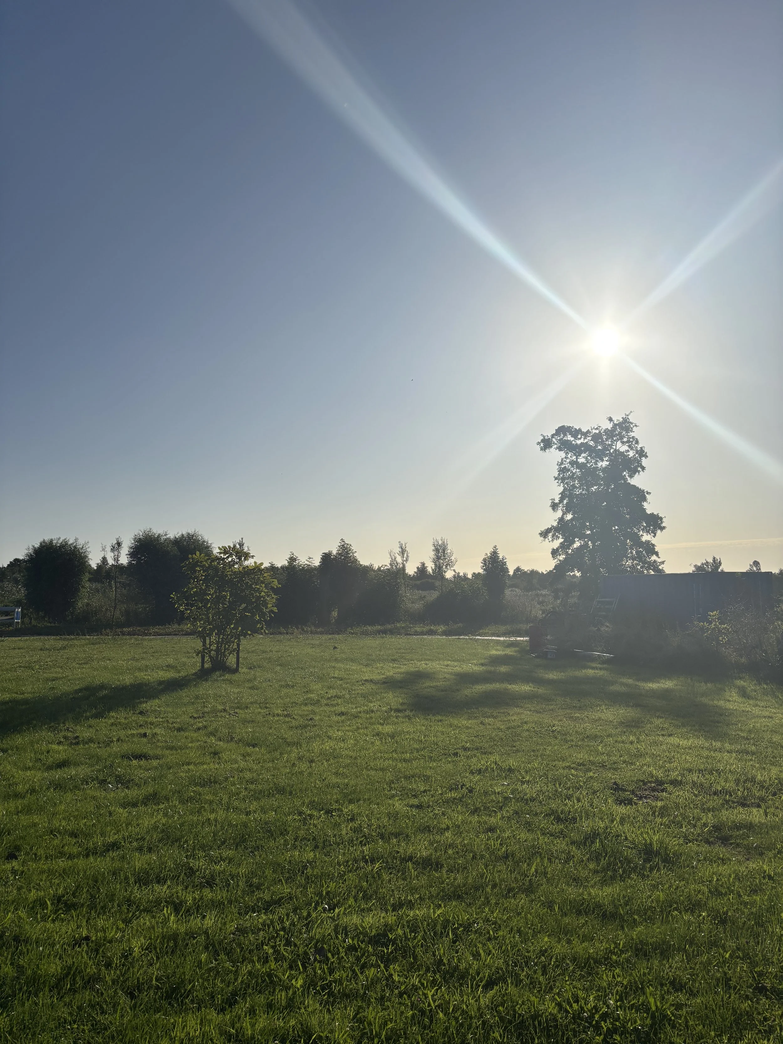 Sun shining in a clear blue sky over a grassy field with trees in the background and a truck on the right