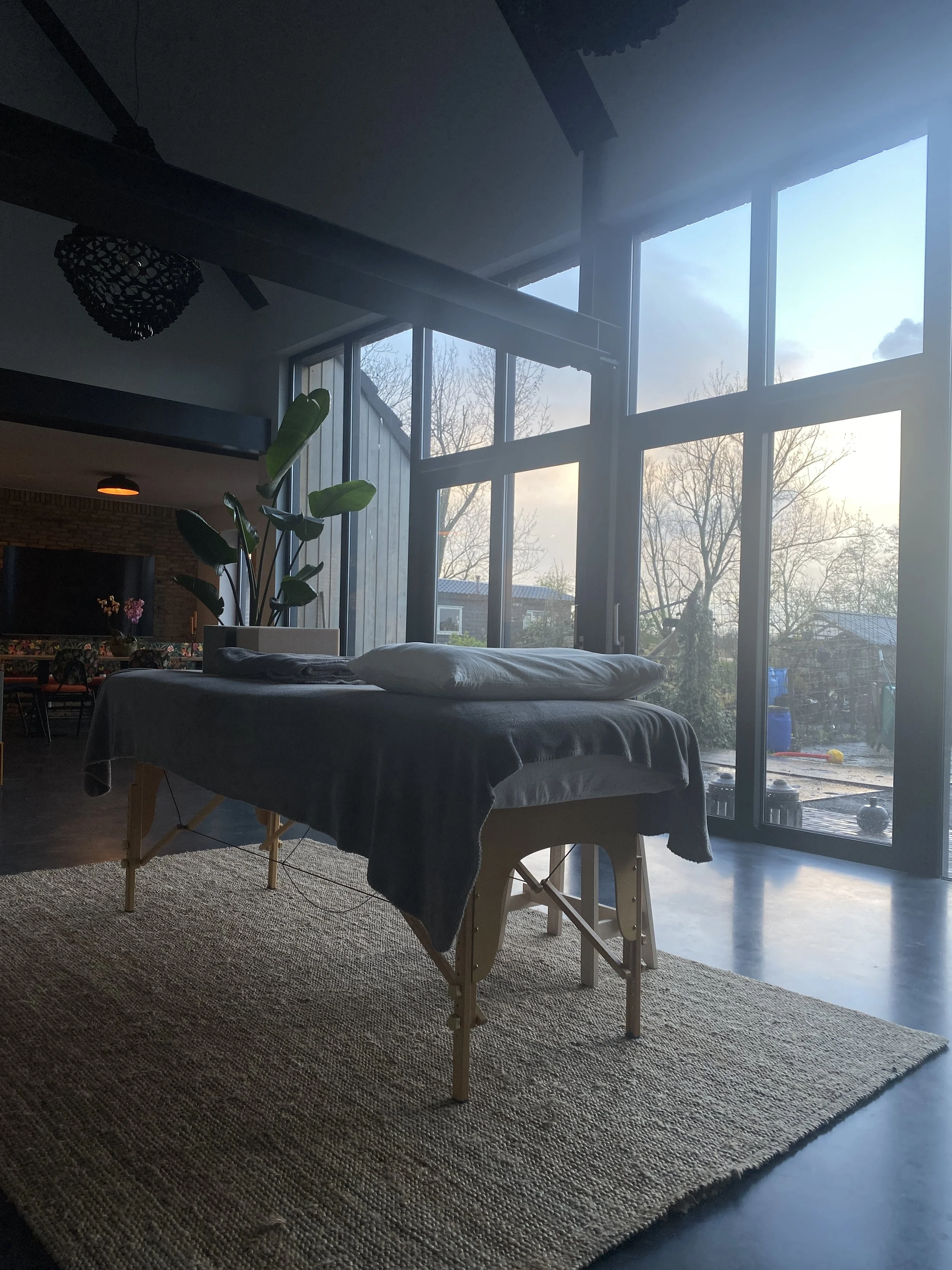 Indoor space with a massage table covered with a dark cloth, a pillow, and a blanket, set on a woven rug near large windows showing an outdoor garden and trees.