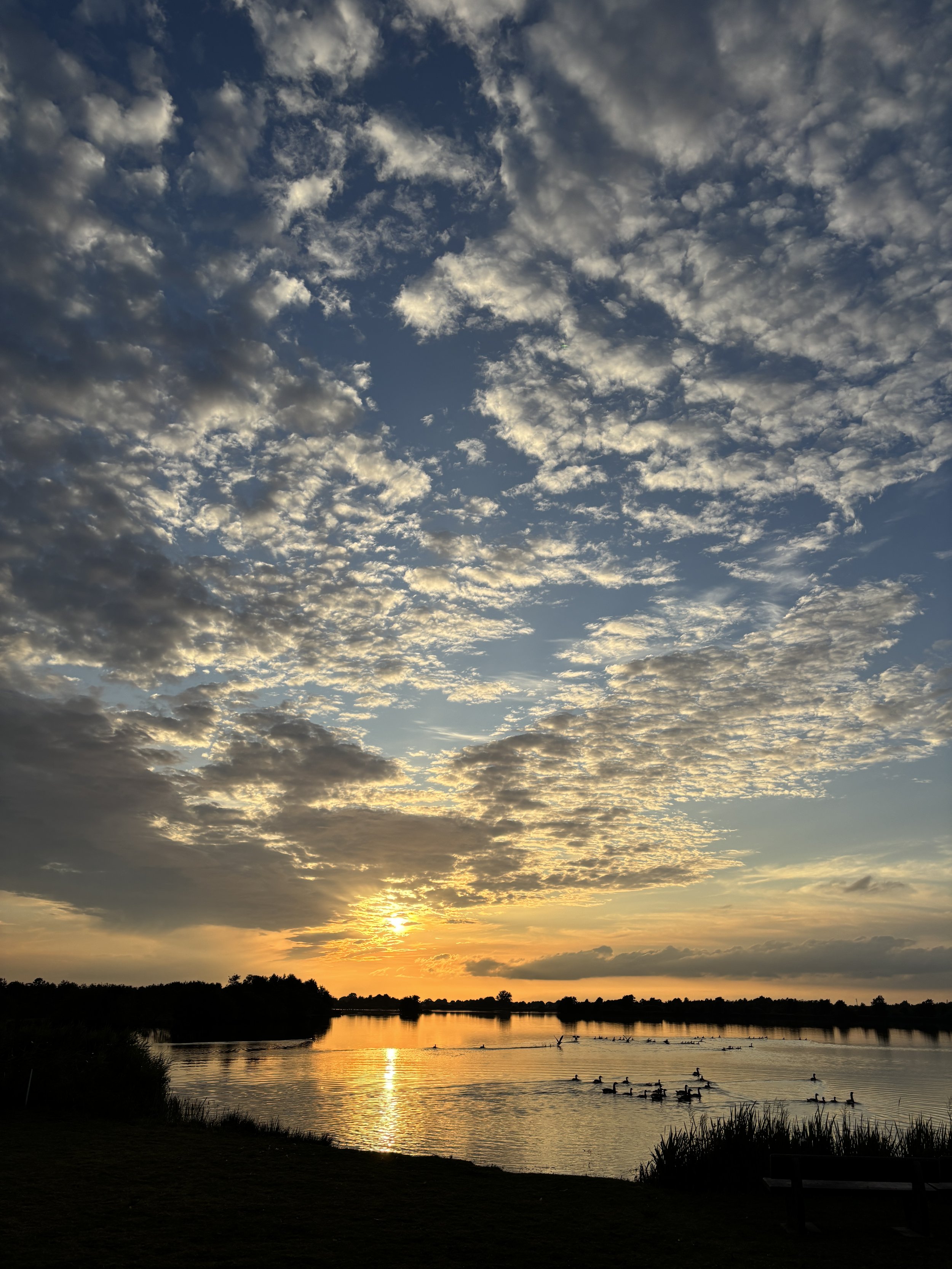 Sunset over a river with clouds and ducks swimming.