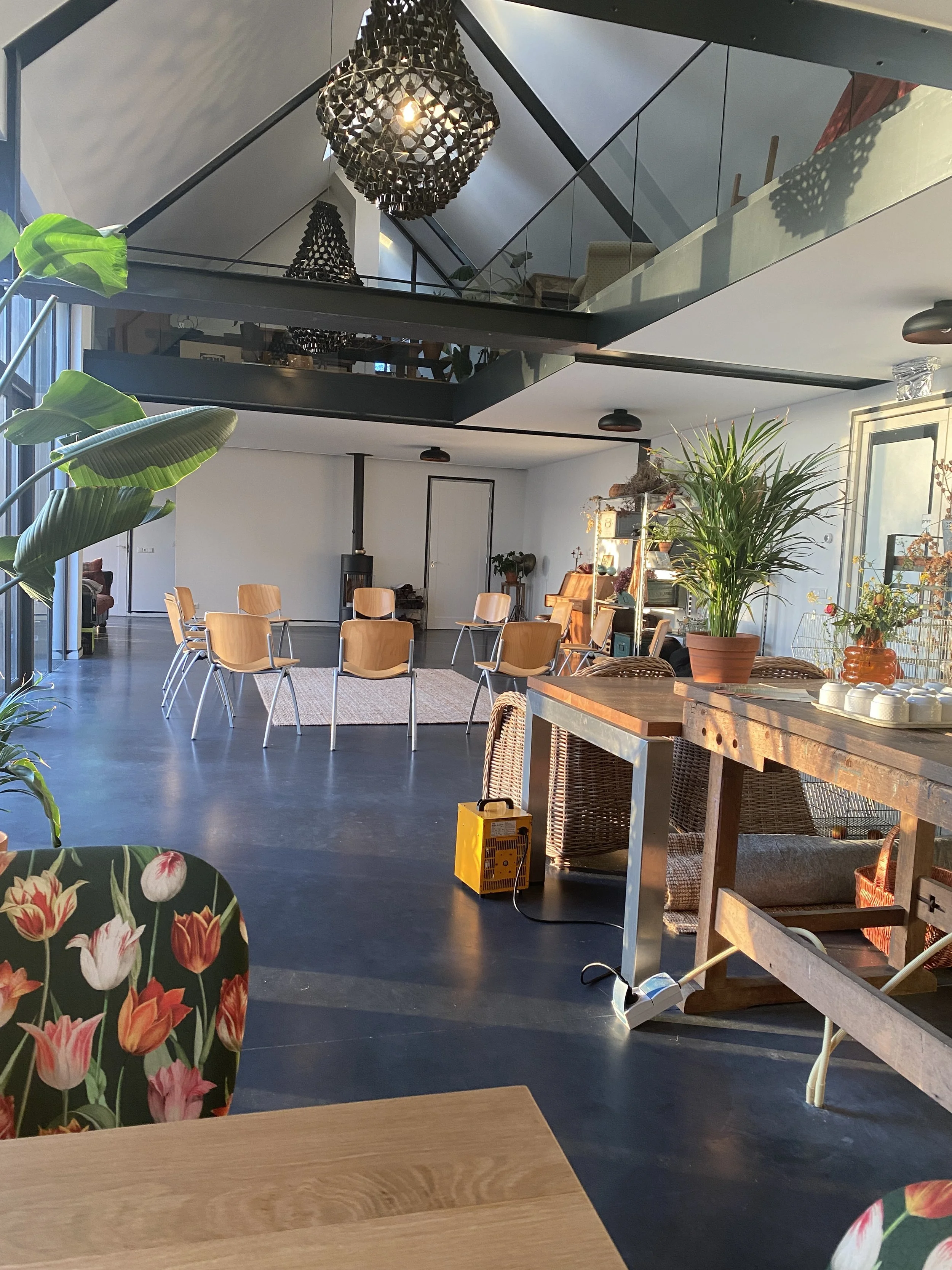 A spacious, modern room with wooden chairs arranged in a circle on a rug, a tall green plant on a wooden table, large window with vertical blinds, and contemporary black chandeliers hanging from the ceiling.
