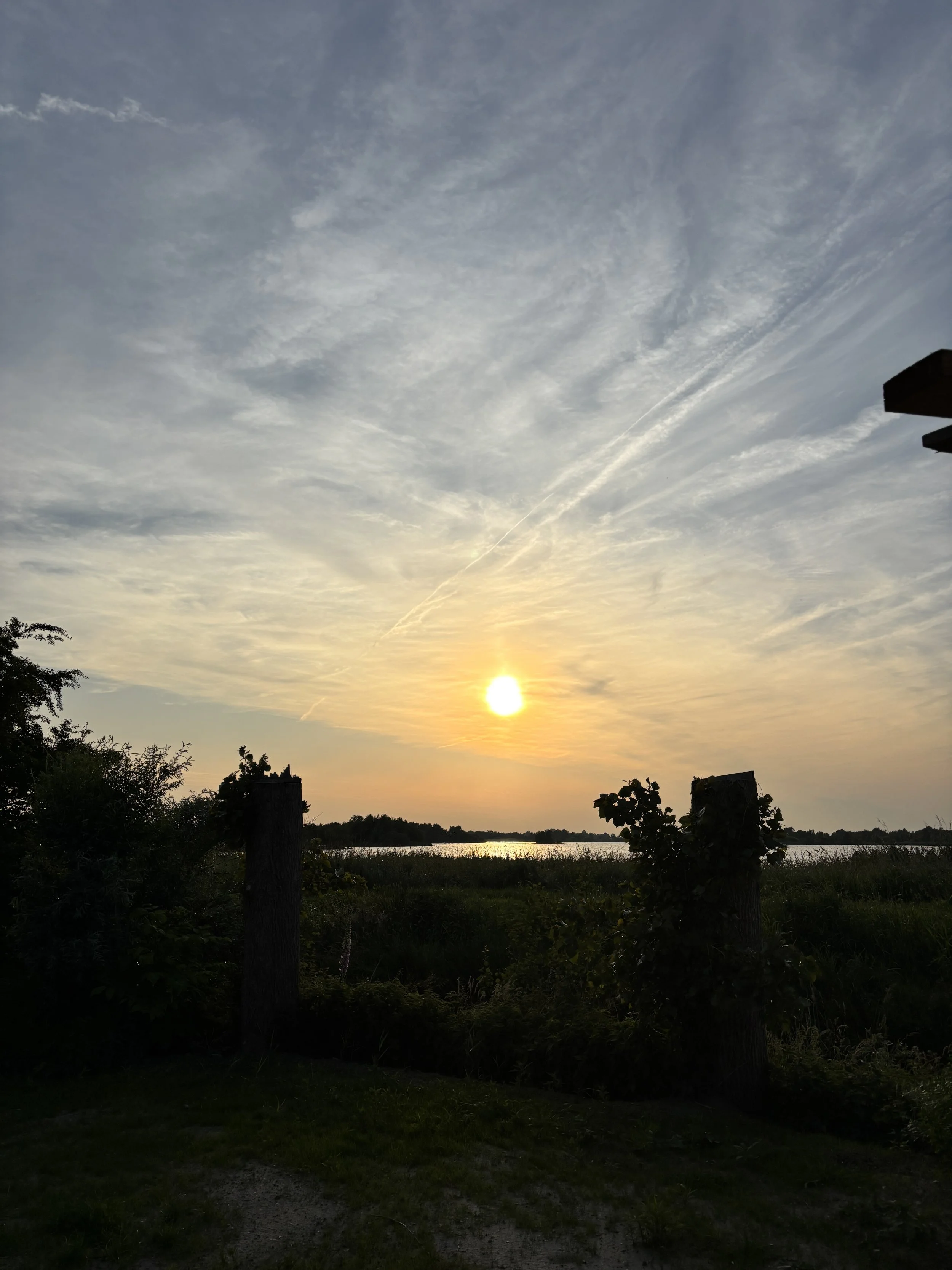 Sunset over a body of water with cloudy sky and silhouettes of trees and shrubs in the foreground.