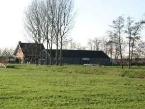 Afbeelding4.jpg.webp