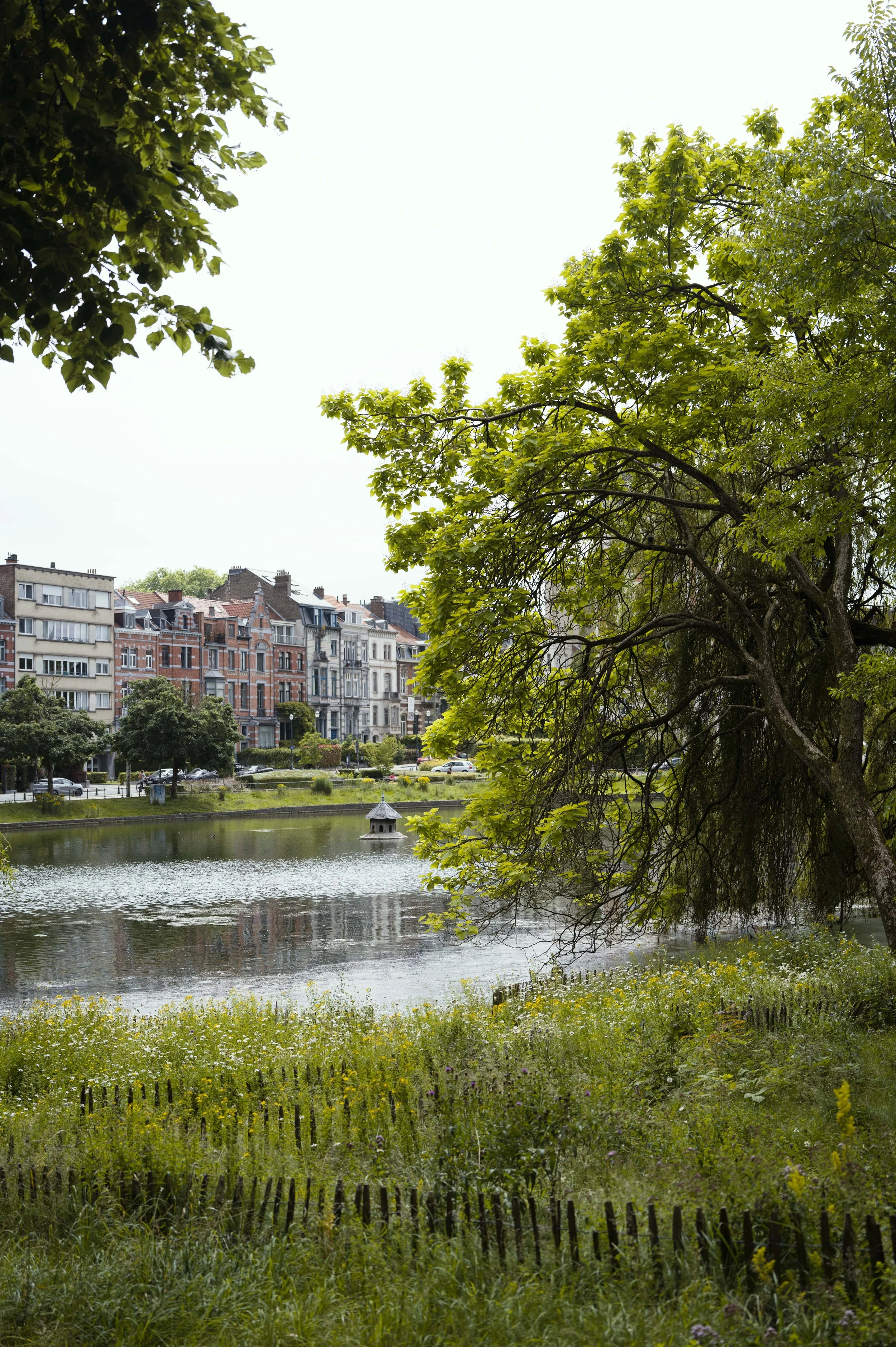 L1002906.jpg