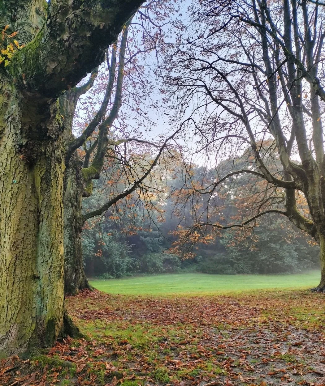 Walk und Talk in der Umgebung von Frankfurt