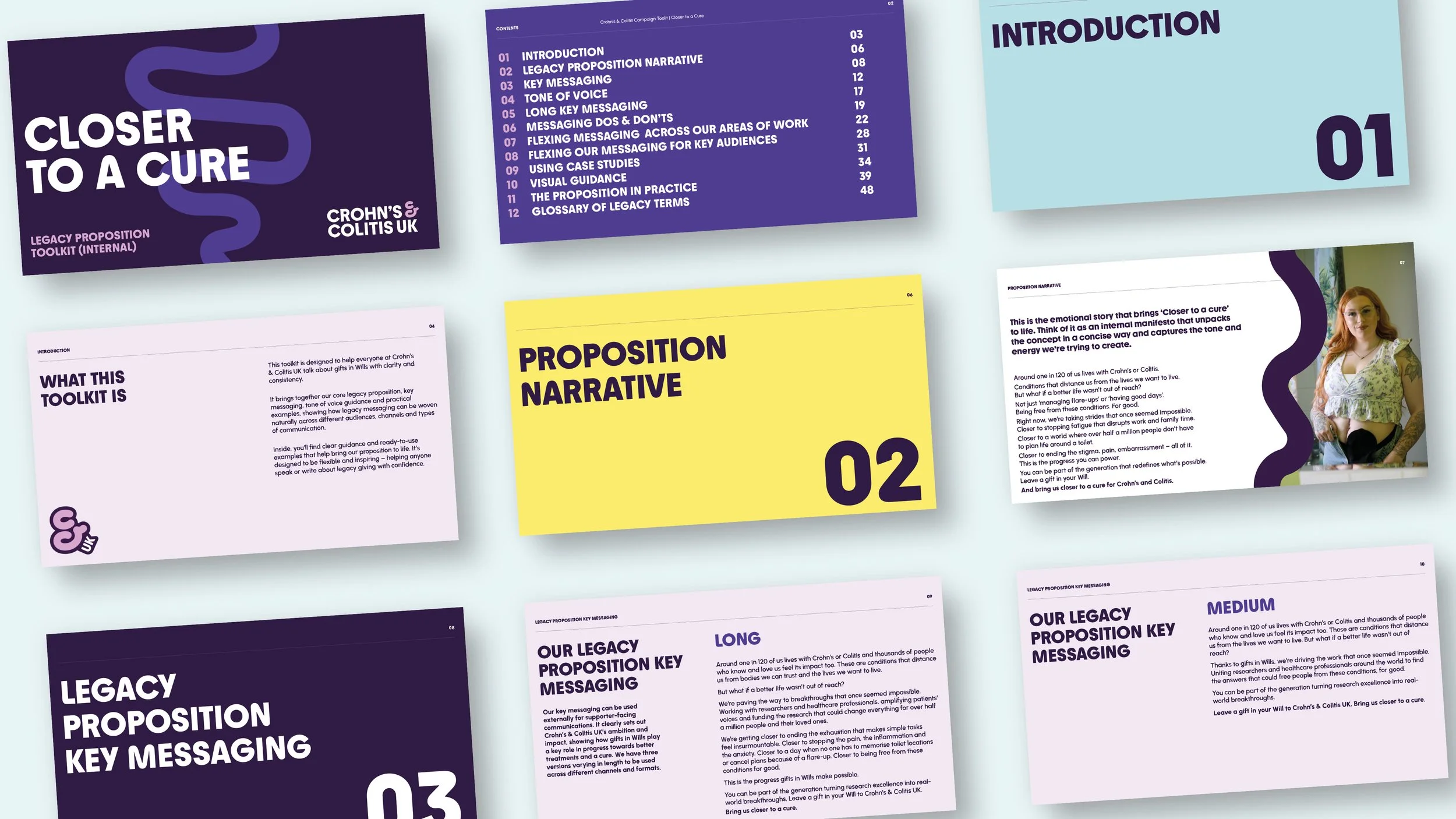 PYR_Case study template_Crohn's toolkit8.jpg