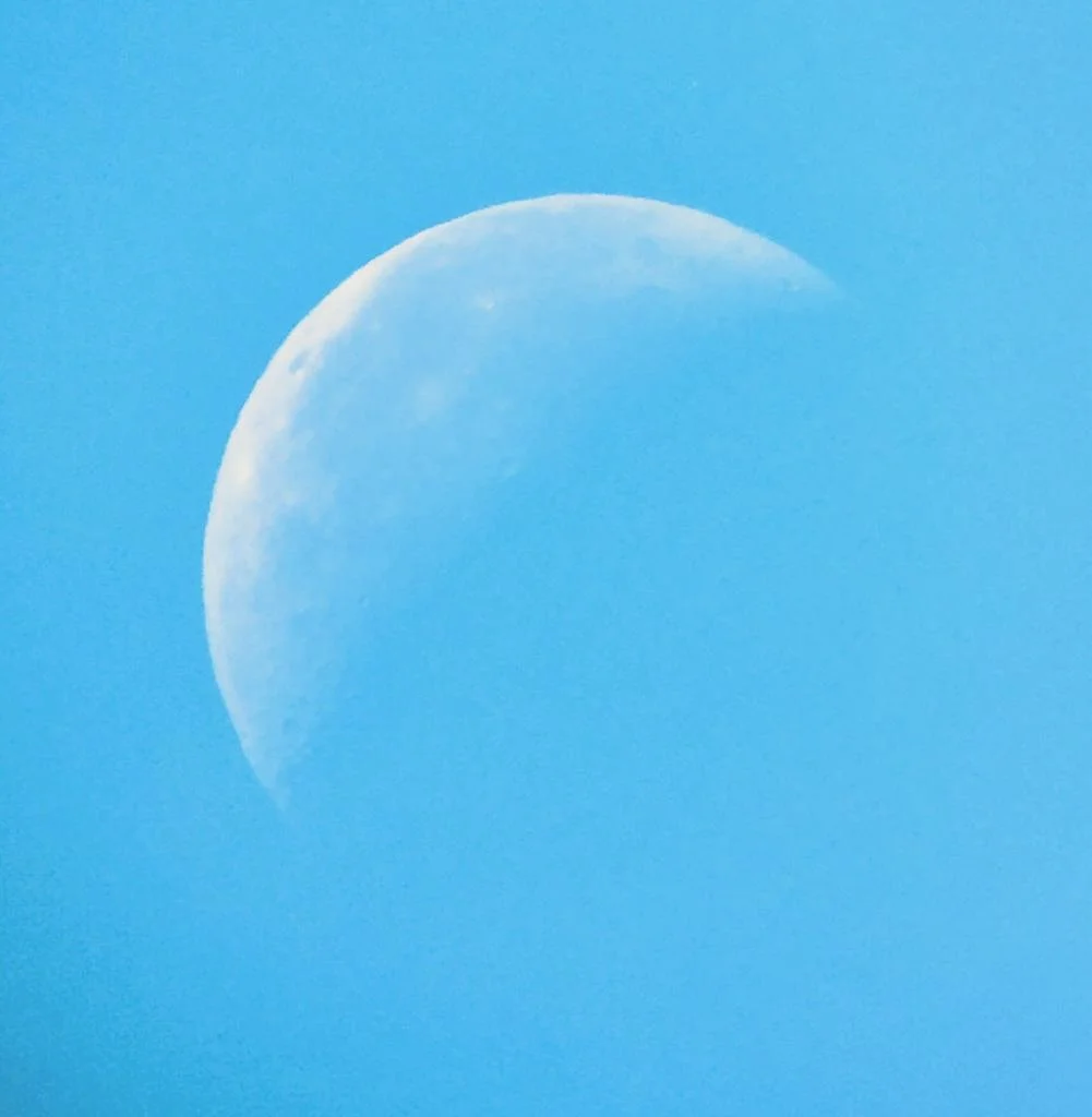 80305c9d-b3d6-4add-9627-8c94895b2c27.jpeg