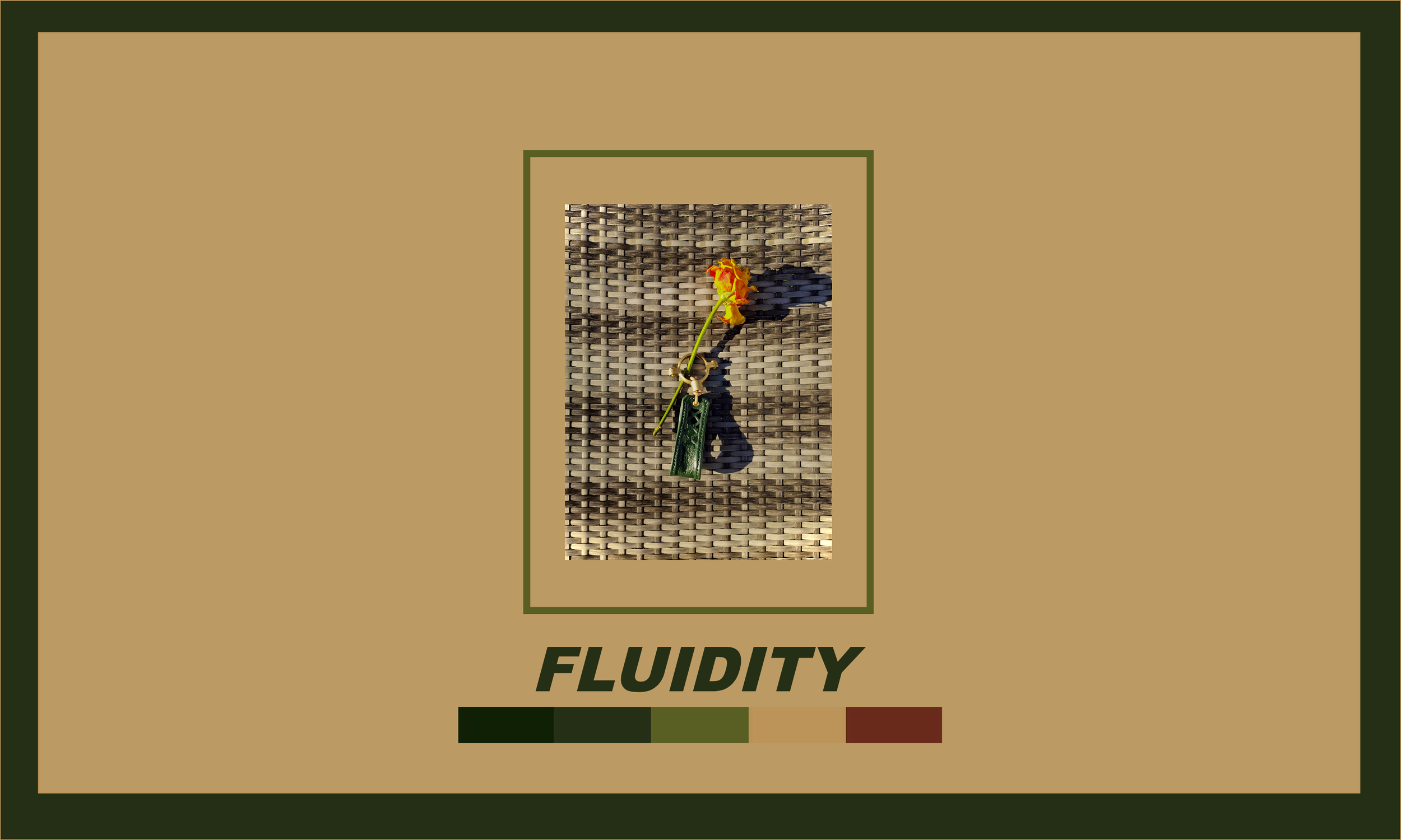 PORTFOLIO19.png