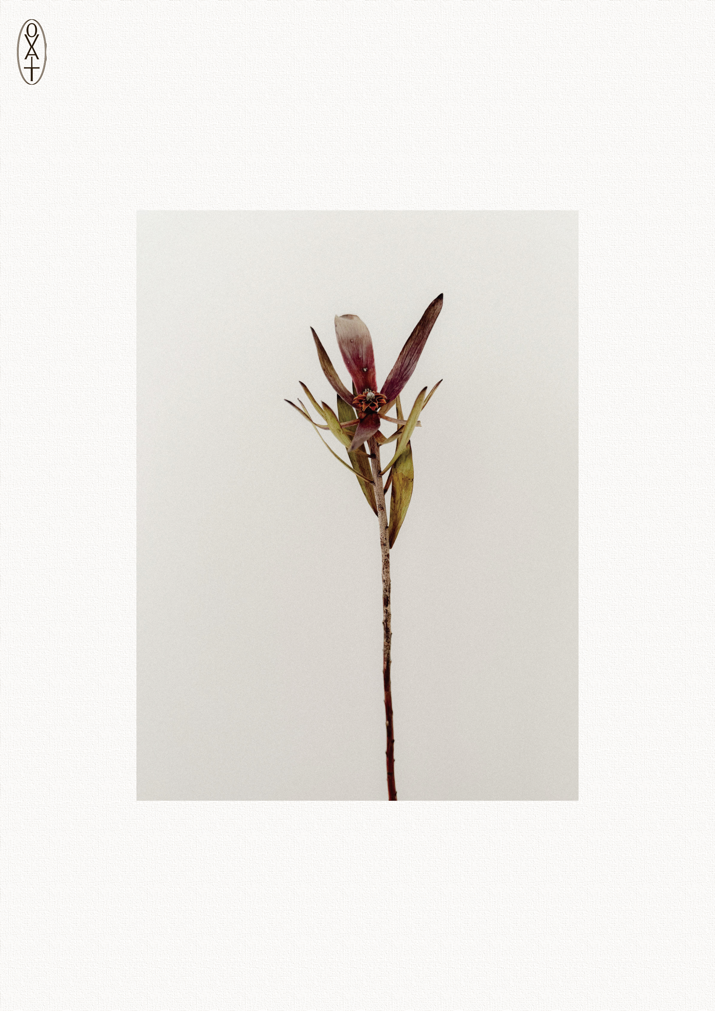 Xiang Li 19009447 Concept Realisation Prototype Lookbook_页面_18.png