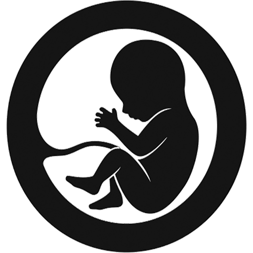 born studio