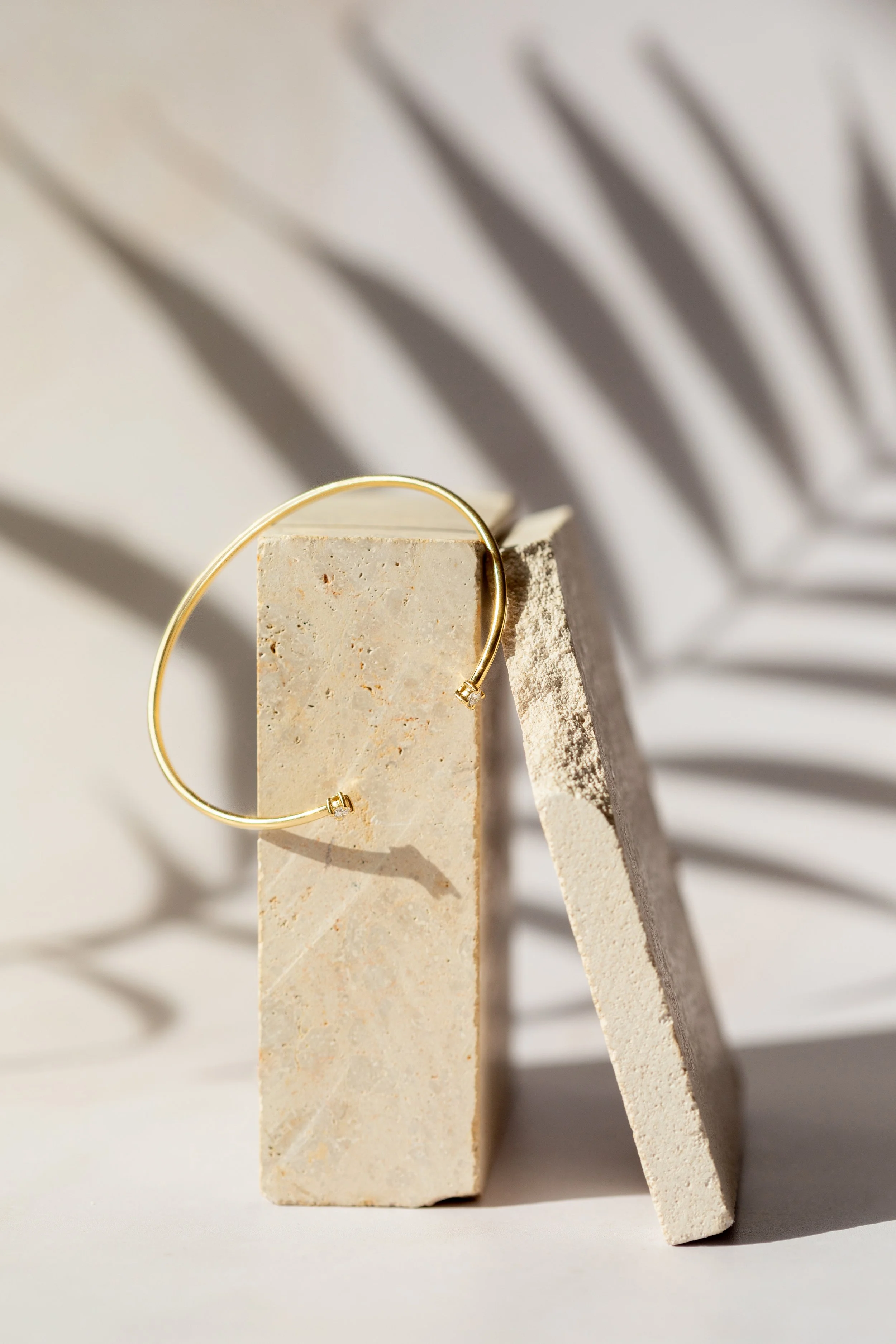 Arbusa Joyeras_02.jpg