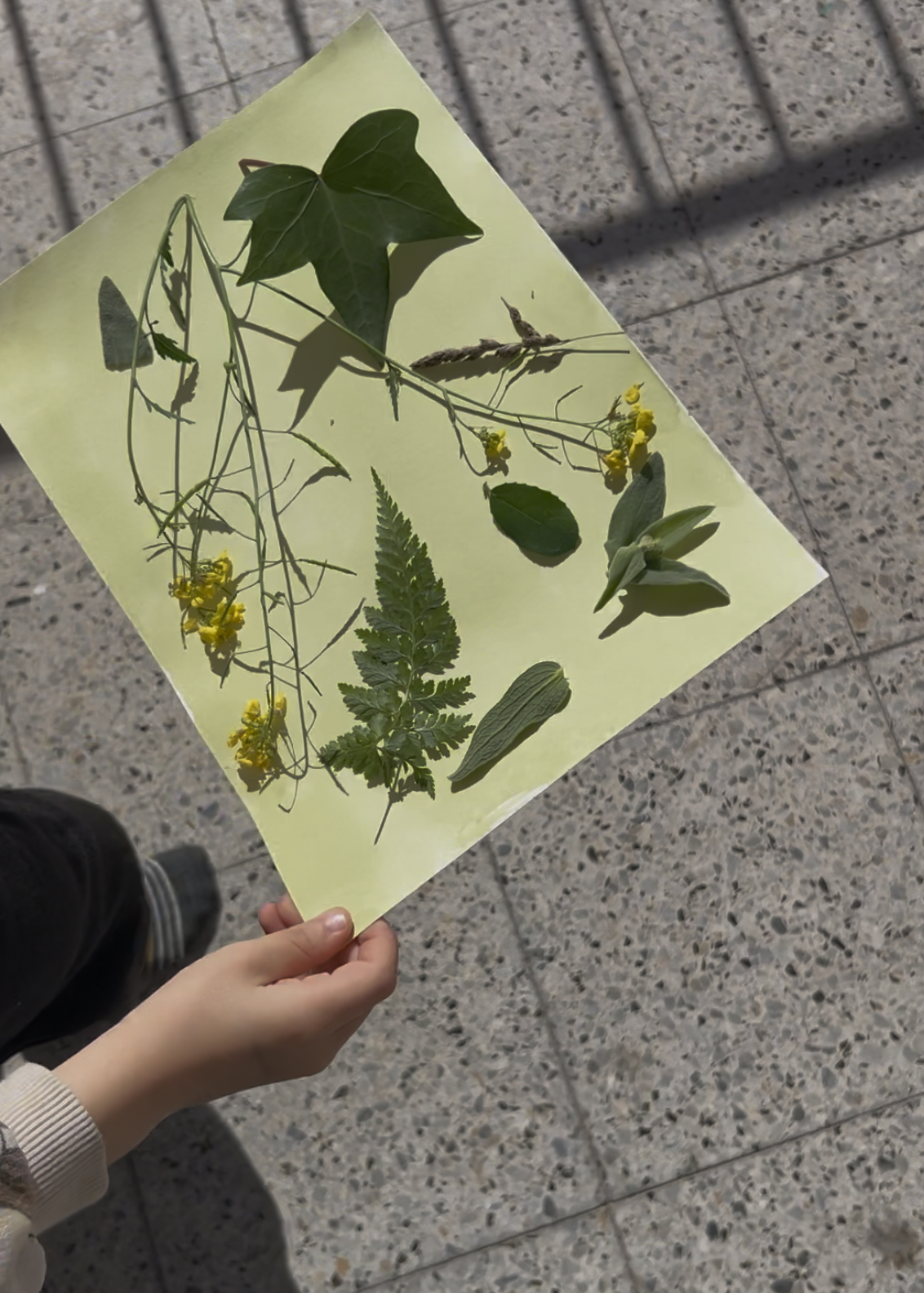 Captura de pantalla 2026-04-14 a las 12.54.54.png