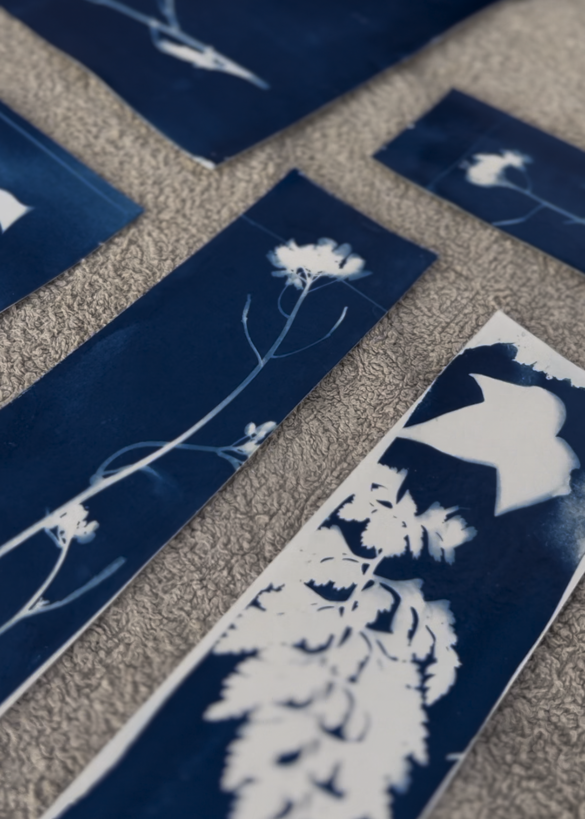 Captura de pantalla 2026-04-14 a las 12.55.18.png