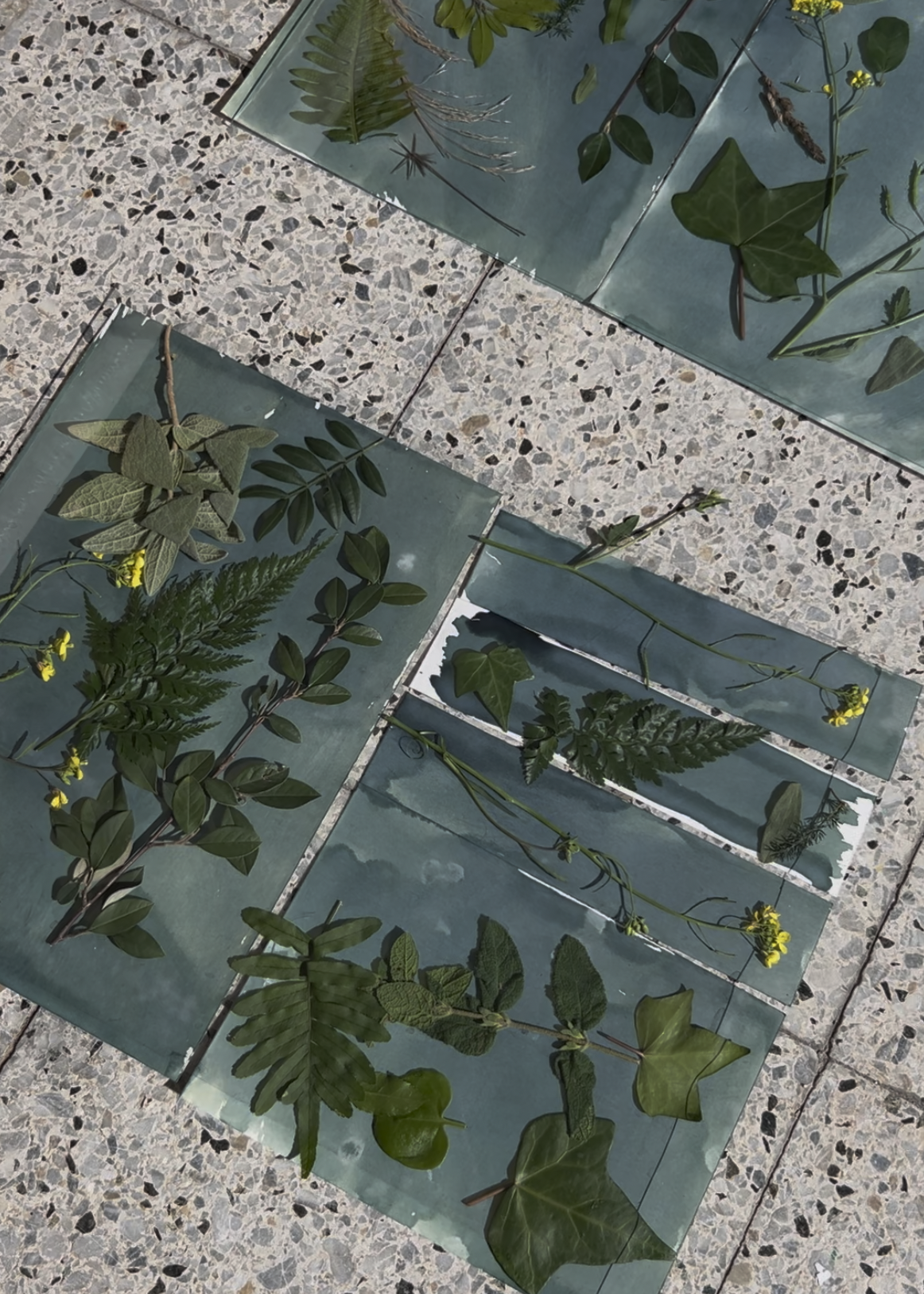 Captura de pantalla 2026-04-14 a las 12.56.35.png