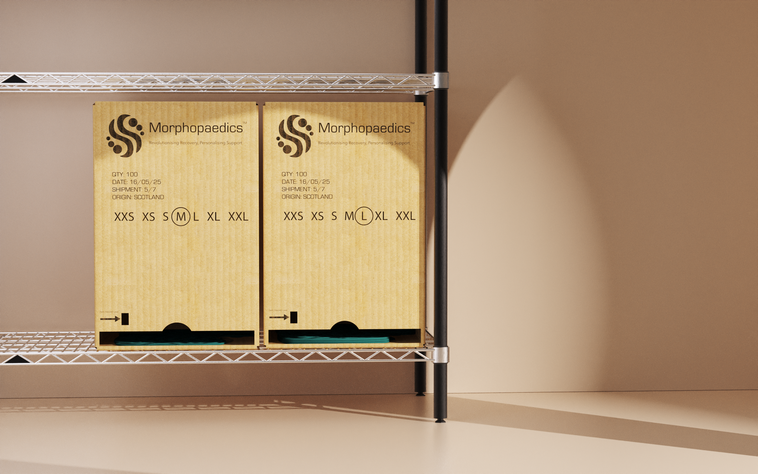 Morphopaedics with packaging.32.png