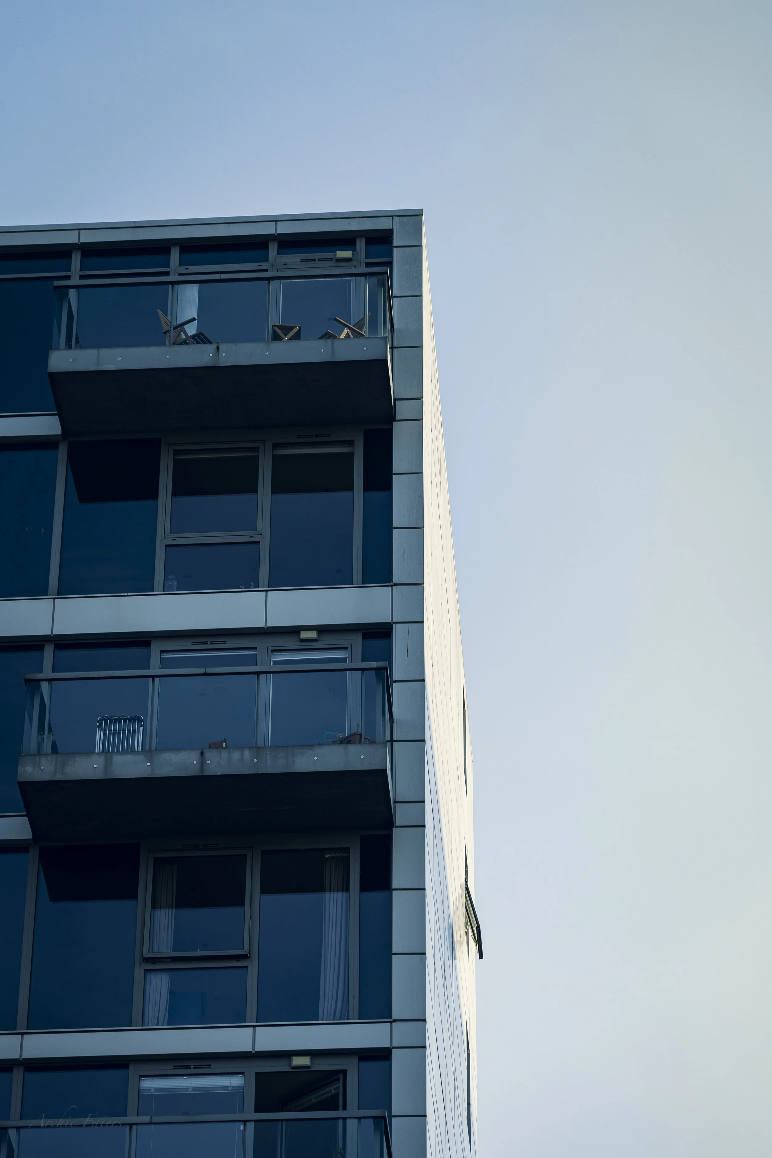 greenwich golden-15.JPG