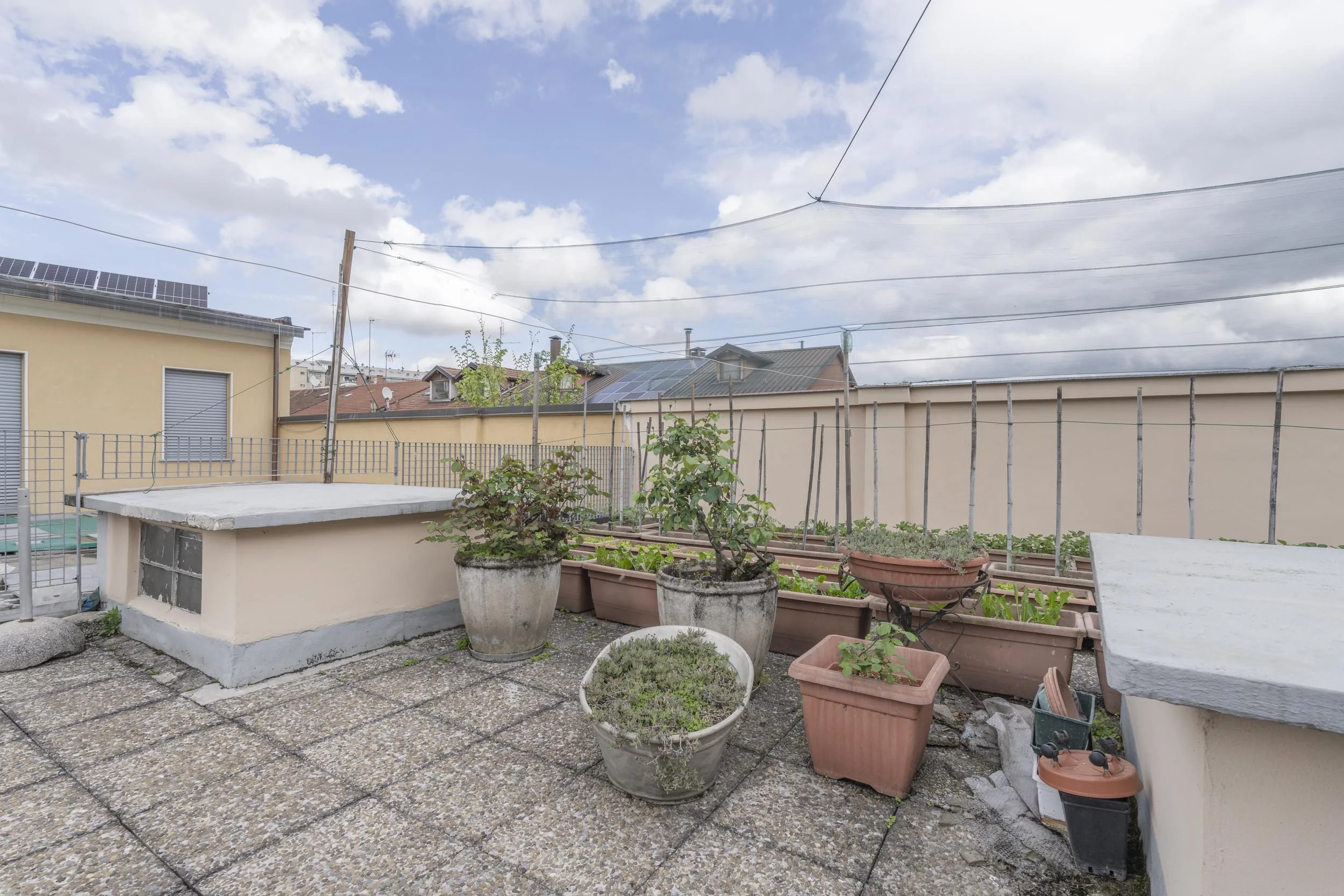 Batticuore 2025 - -133.jpg