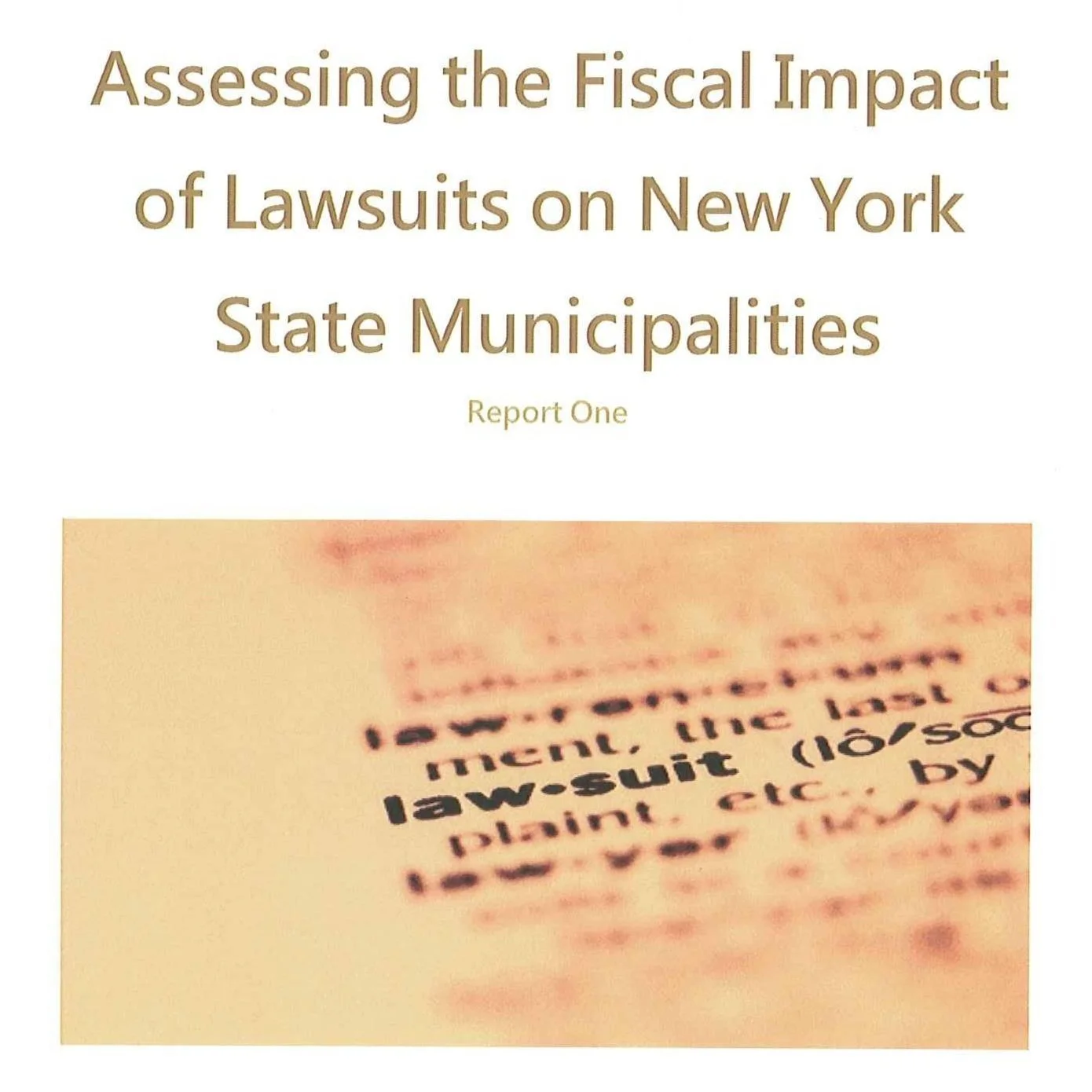 Assessing the Fiscal Impact of Lawsuits on New York State Municipalities
