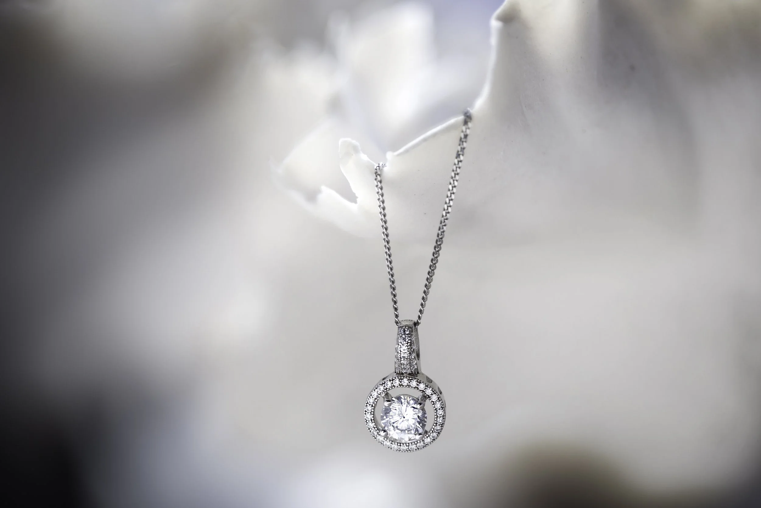 142A4173-Edit-Edit copy.jpg